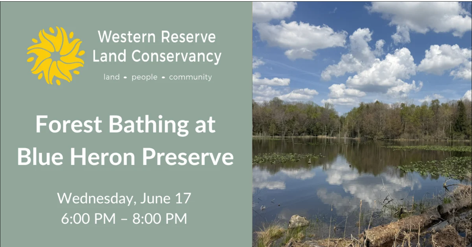 Forest Bathing — Western Reserve Land Conservancy