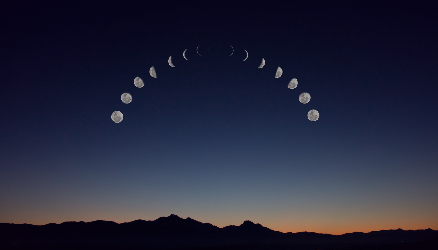 New Moon Shinrin-yoku &amp; Tea Ceremony | Youngstown