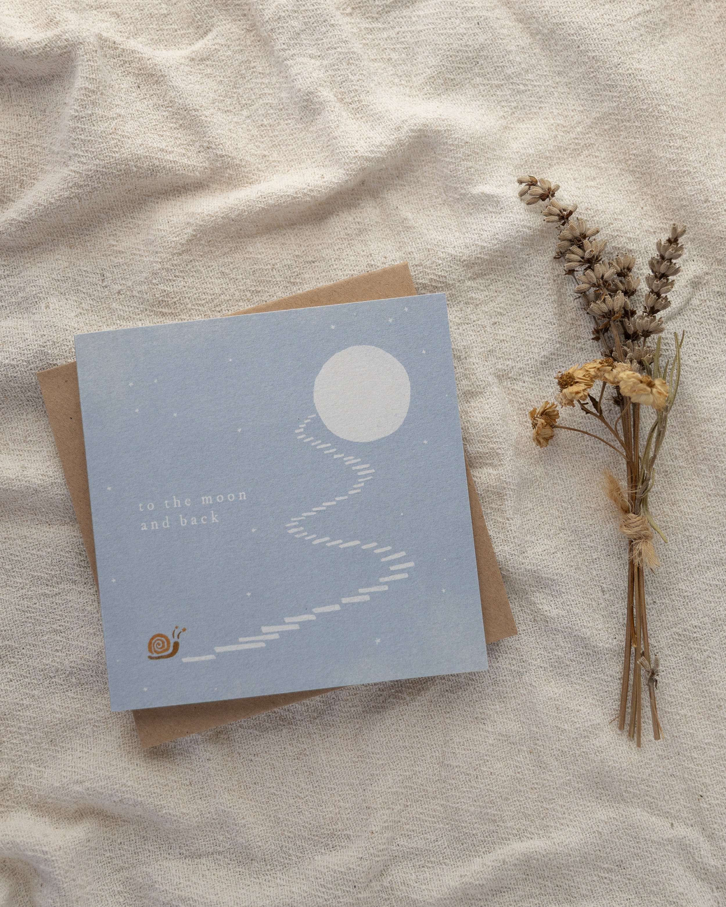To the Moon and Back