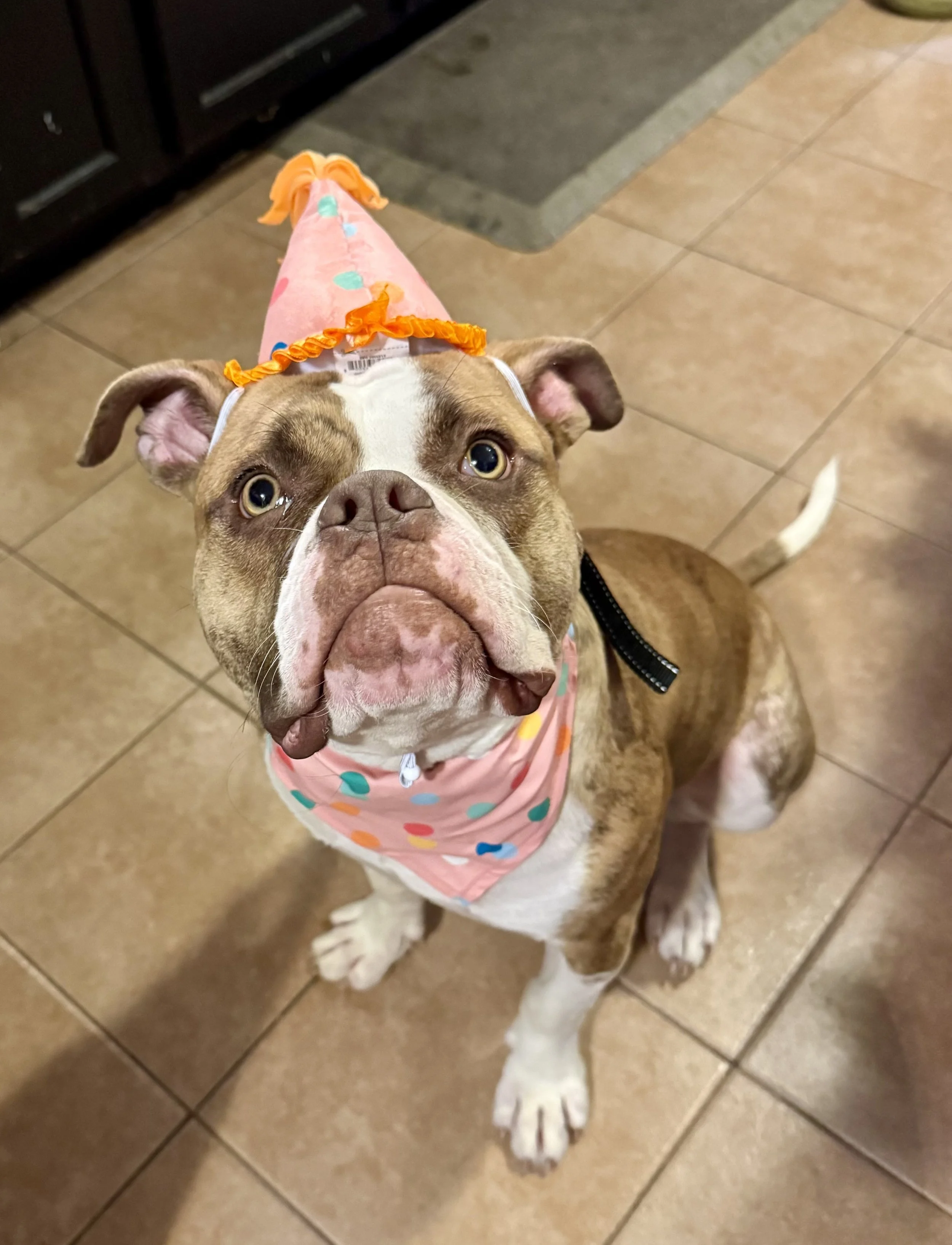 Fiona (2).jpeg