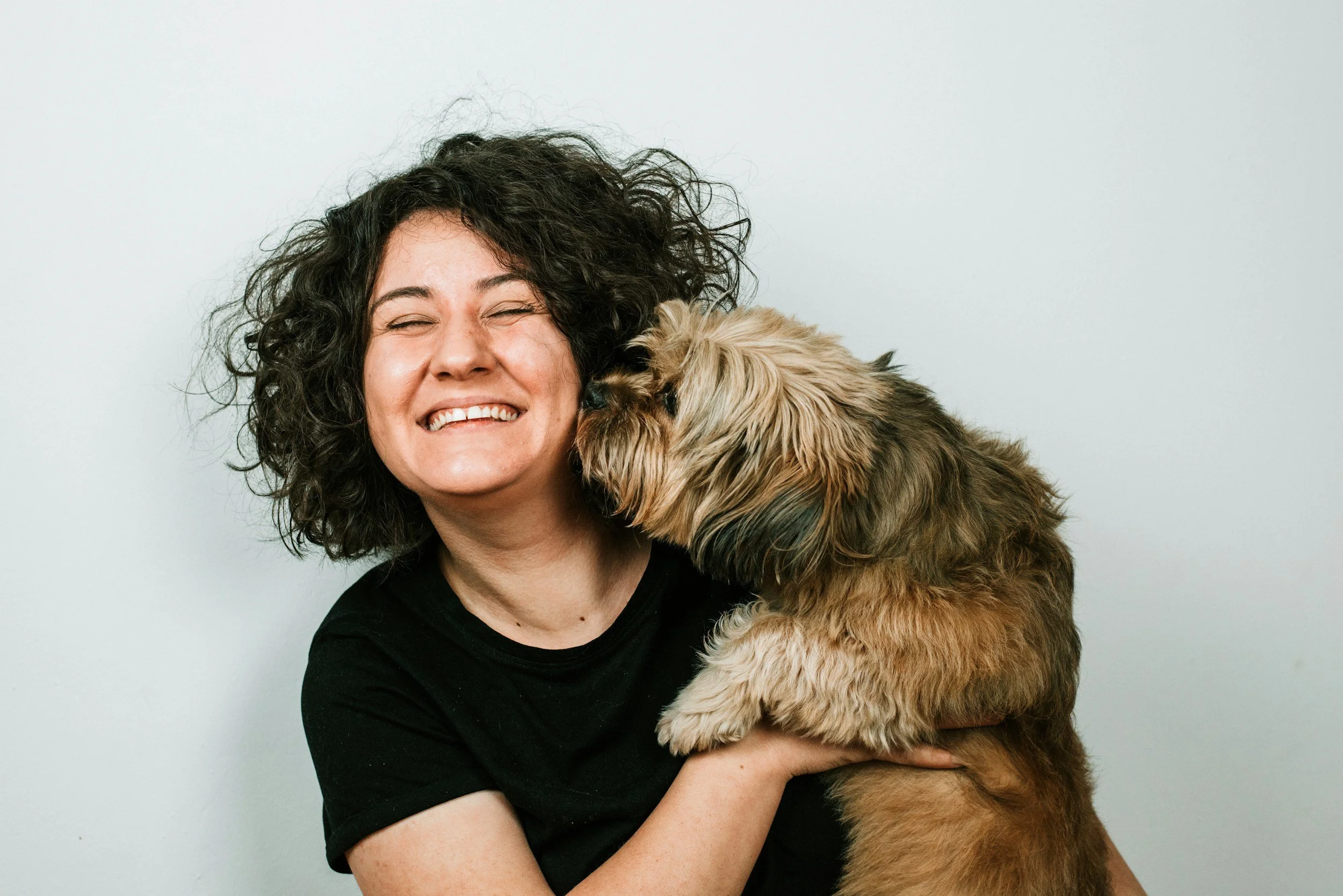 Seguros para mascotas 2026: el ranking de los mejores en EE. UU. y las opciones en México