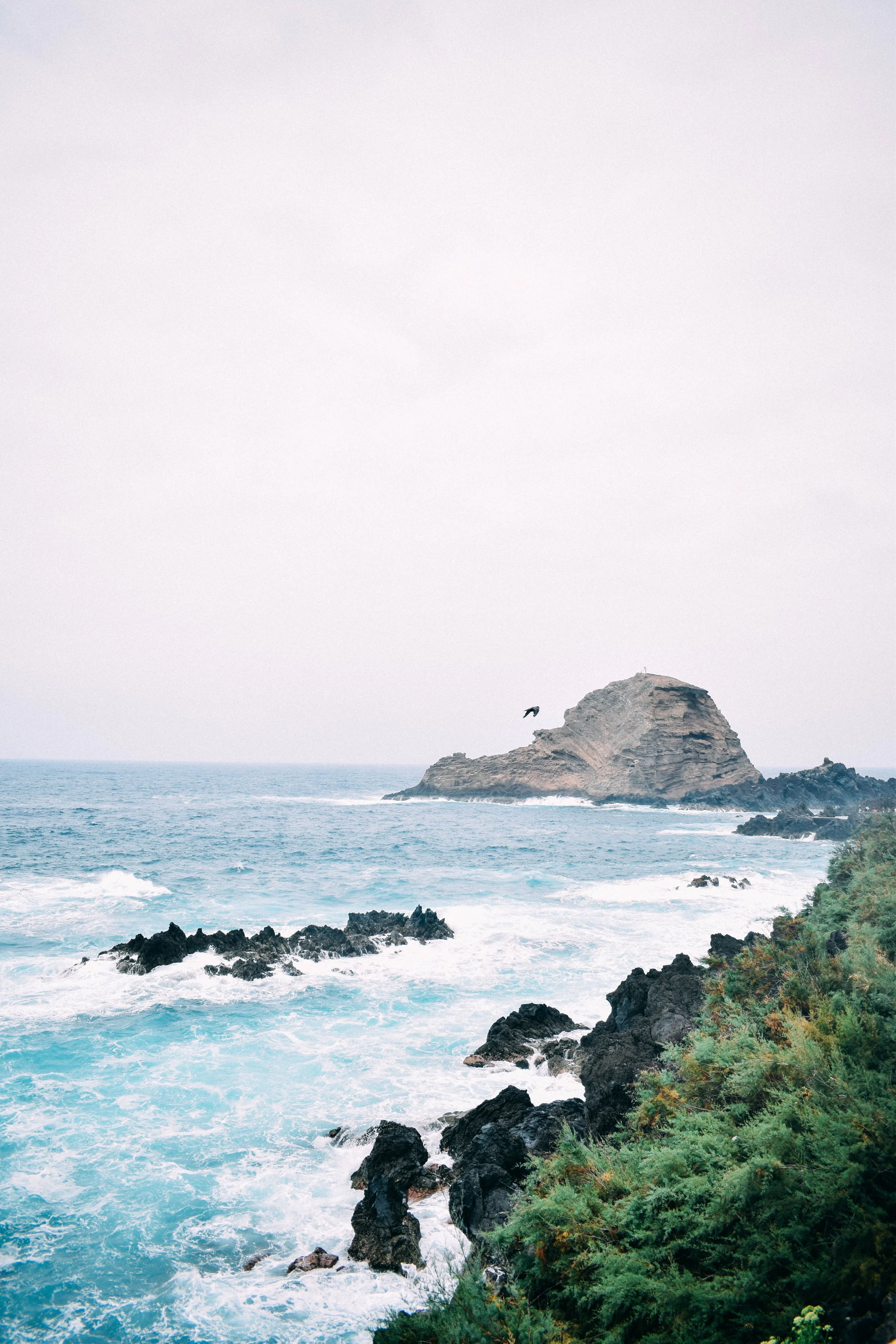 A photo from Portugal, taken by Ollie Best.