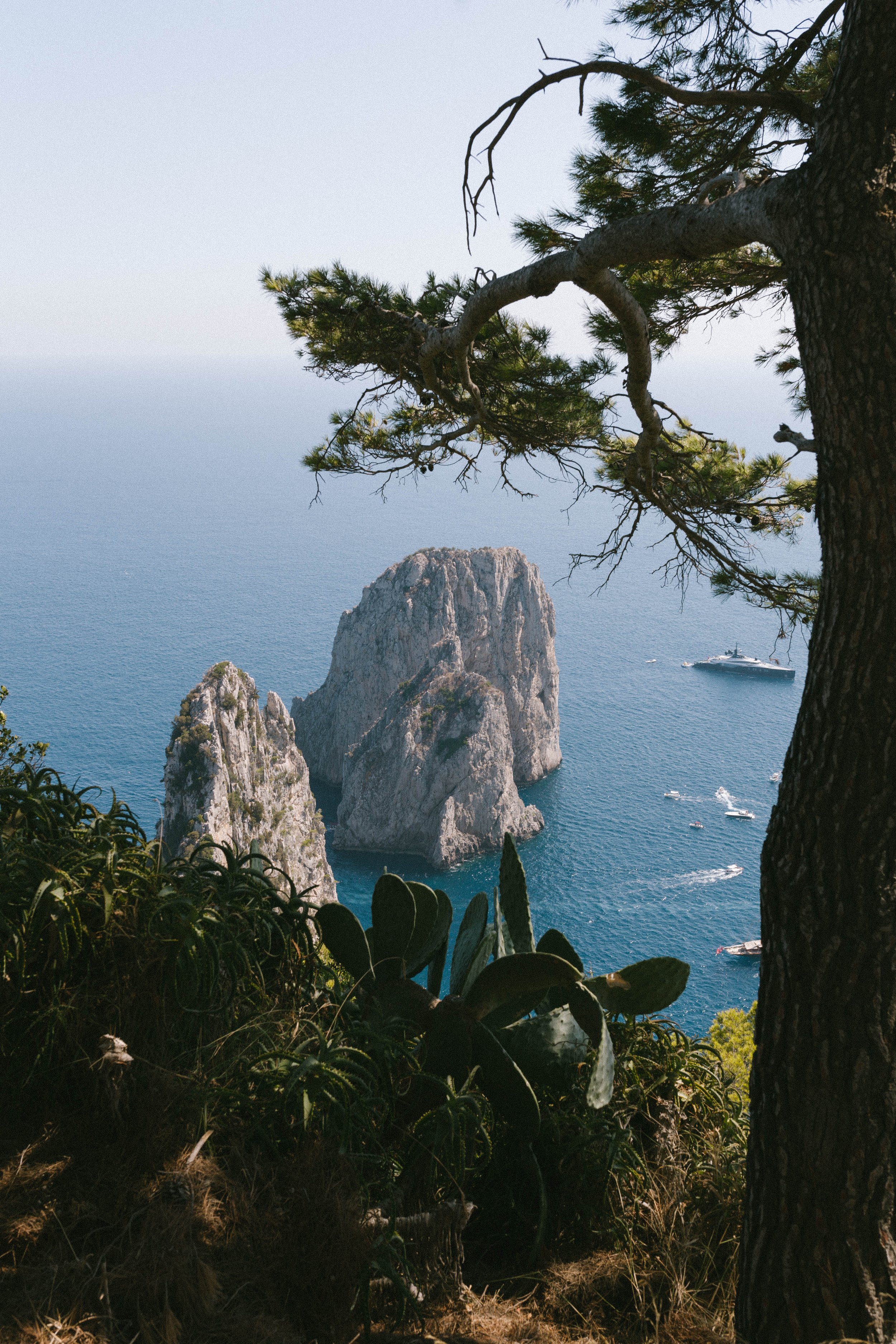 A photo from Capri, taken by Ollie Best.
