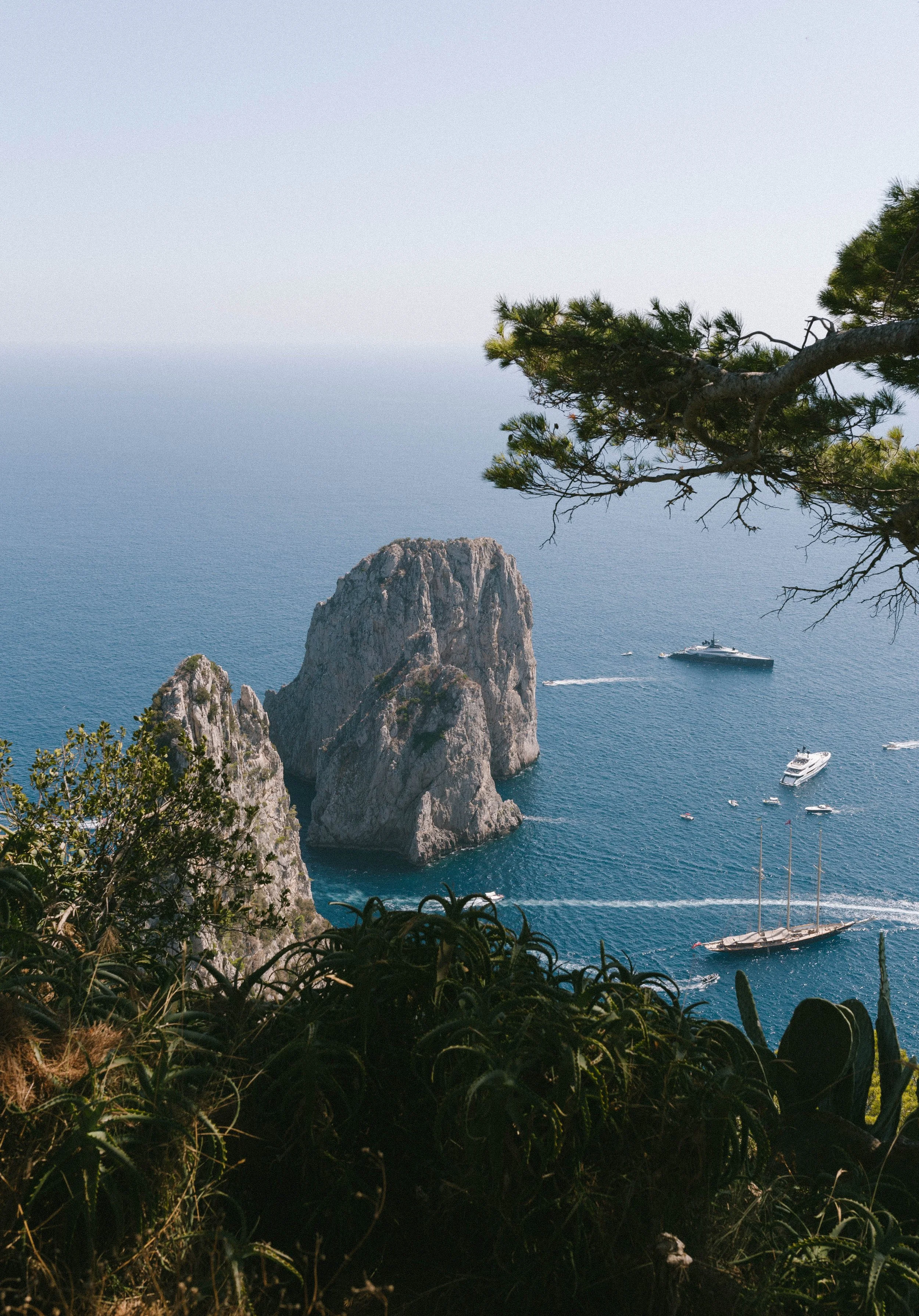 A photo from Capri, taken by Ollie Best.