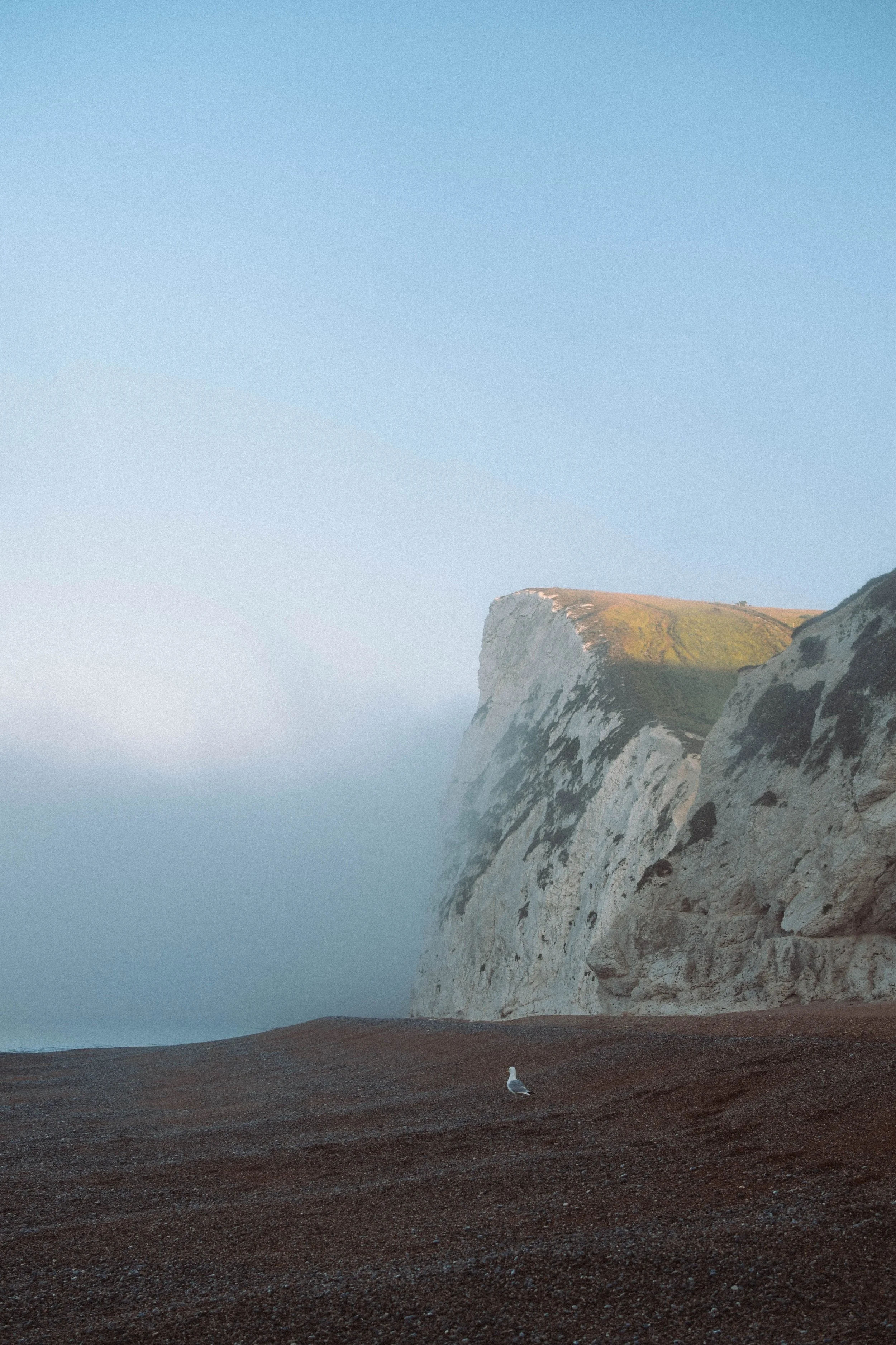 A photo from Dorset, taken by Ollie Best.