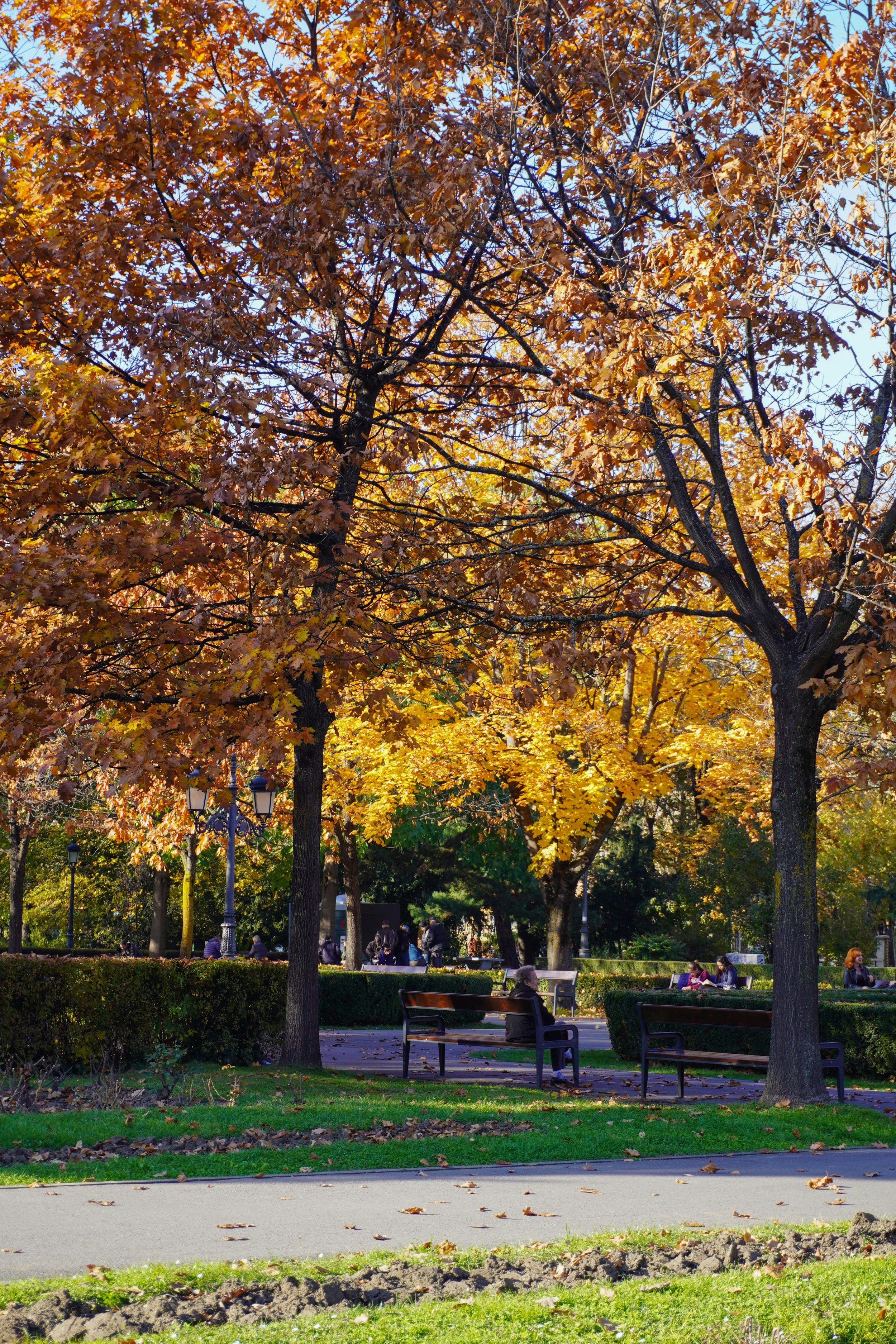 Medicare Annual Enrollment Period 2026: What You Need to Know