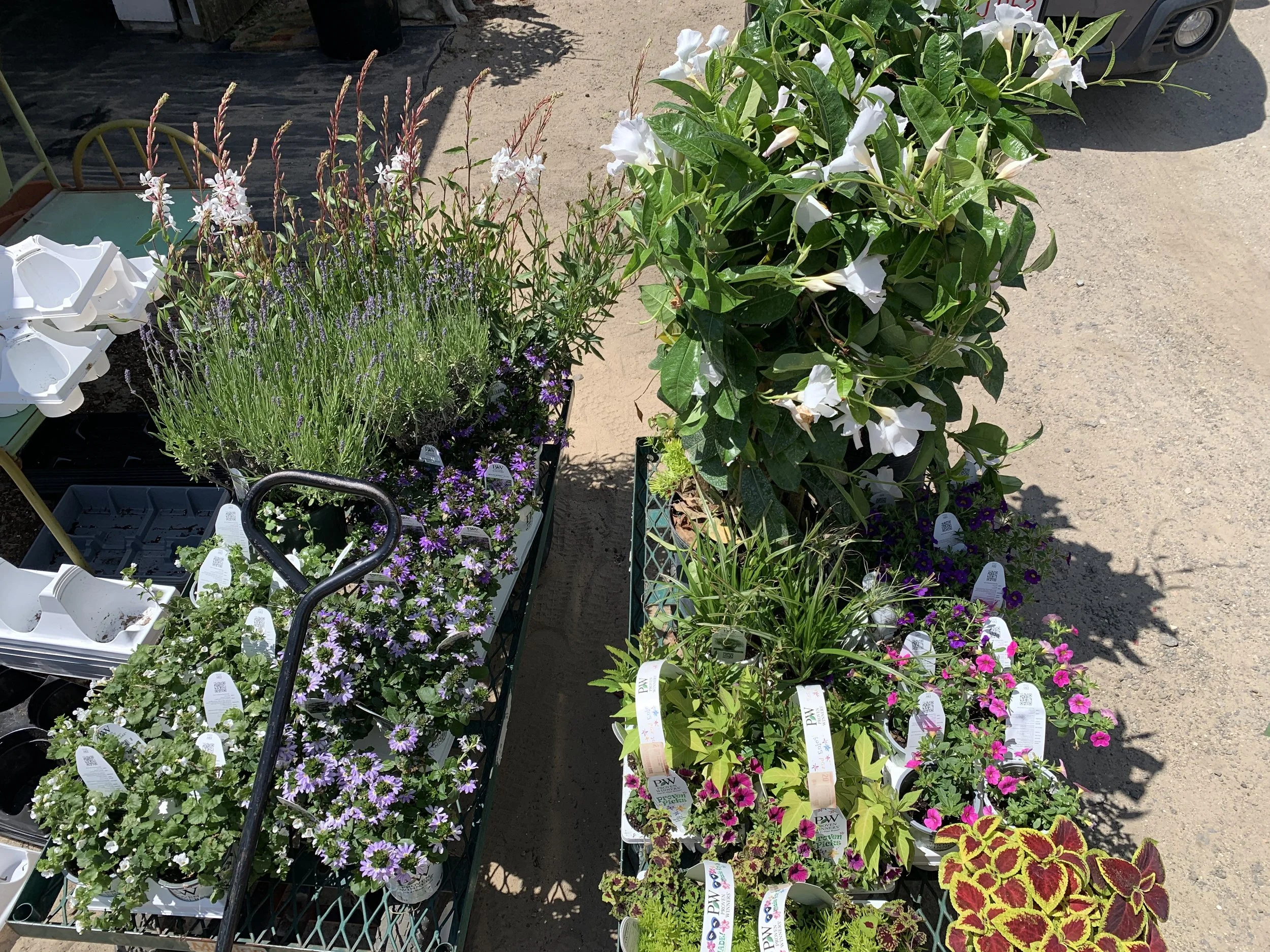 getting ready for flower boxes.jpeg