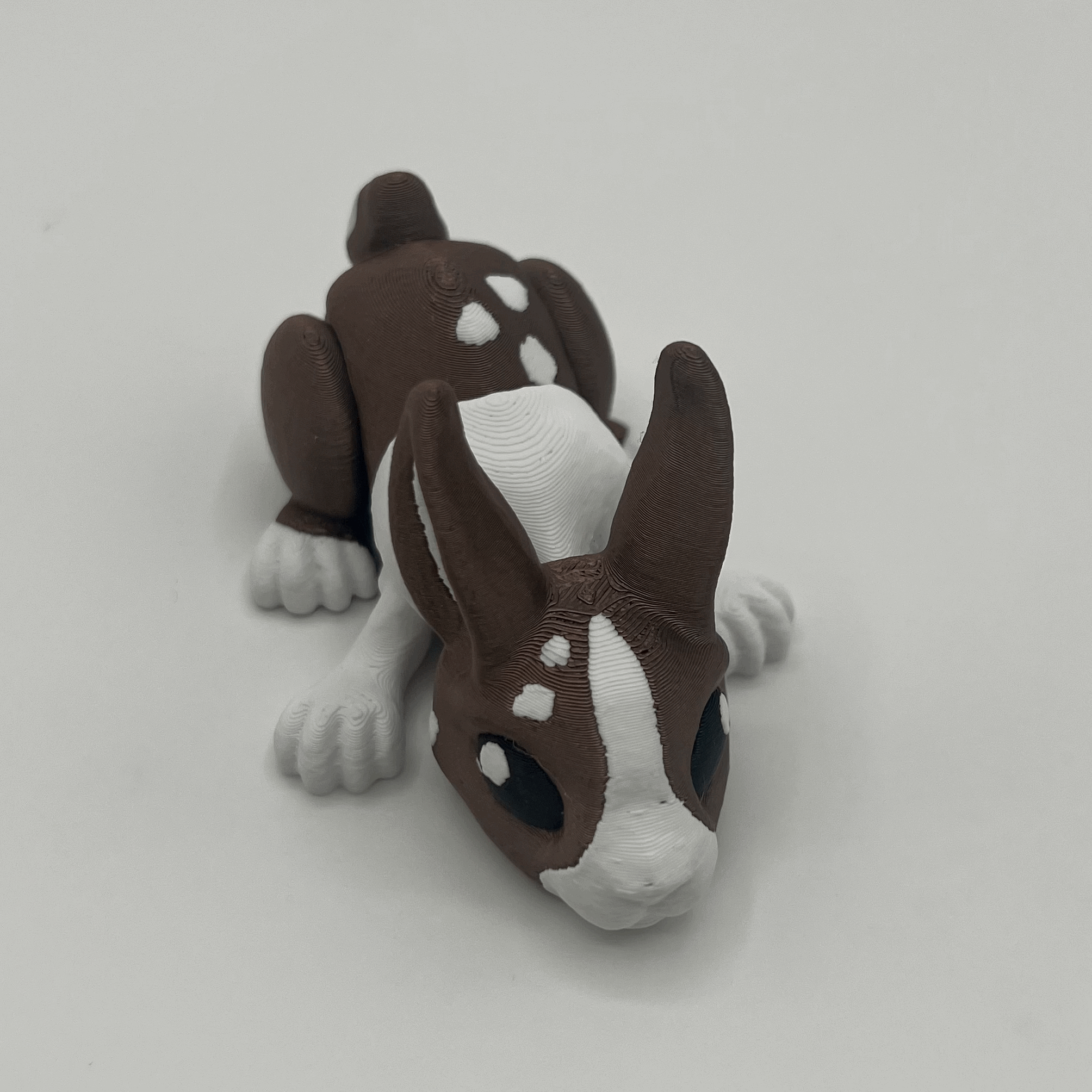 tempImagey14J11.gif