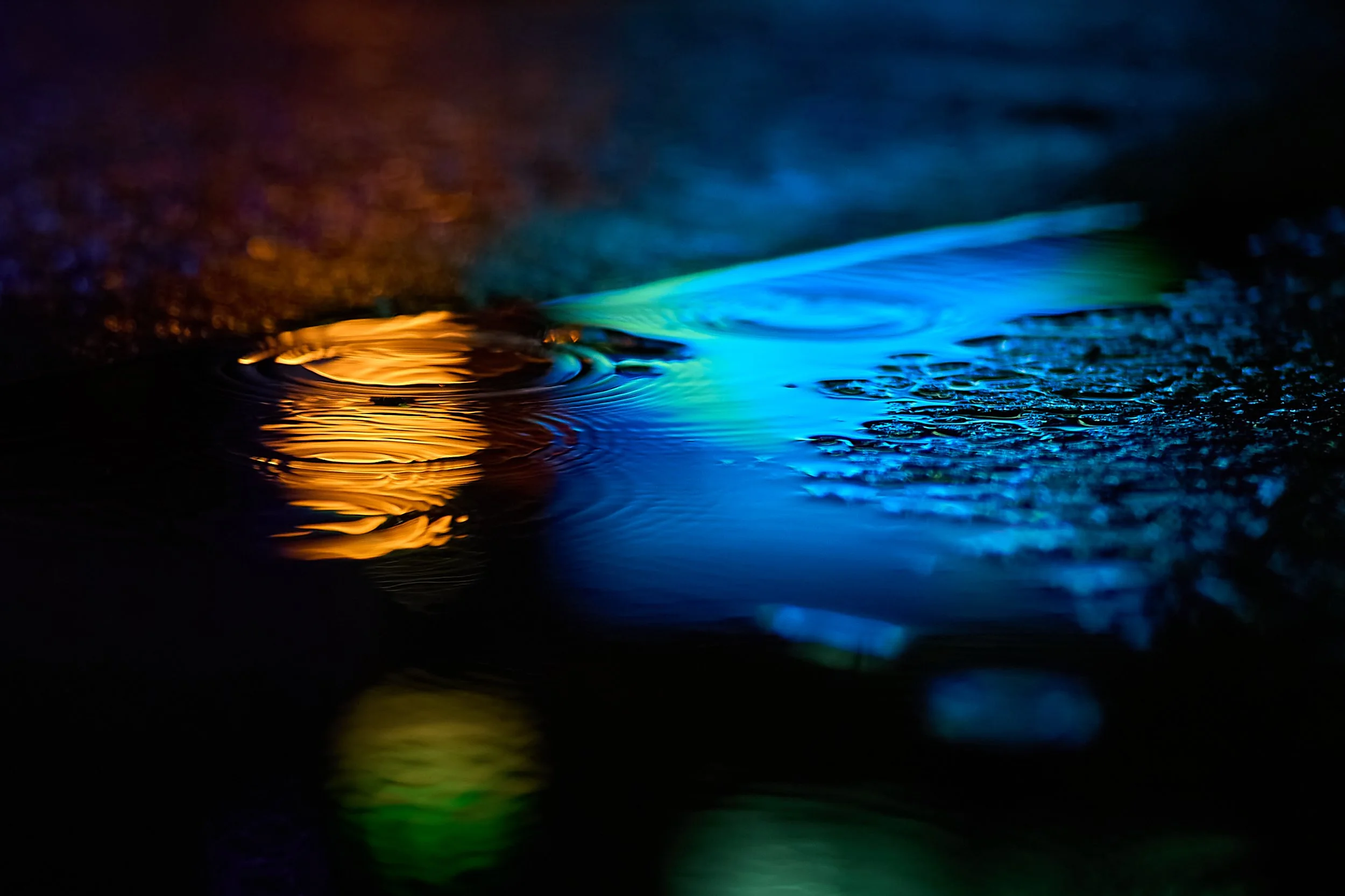 _DSC9961 USA 25 v3.jpg