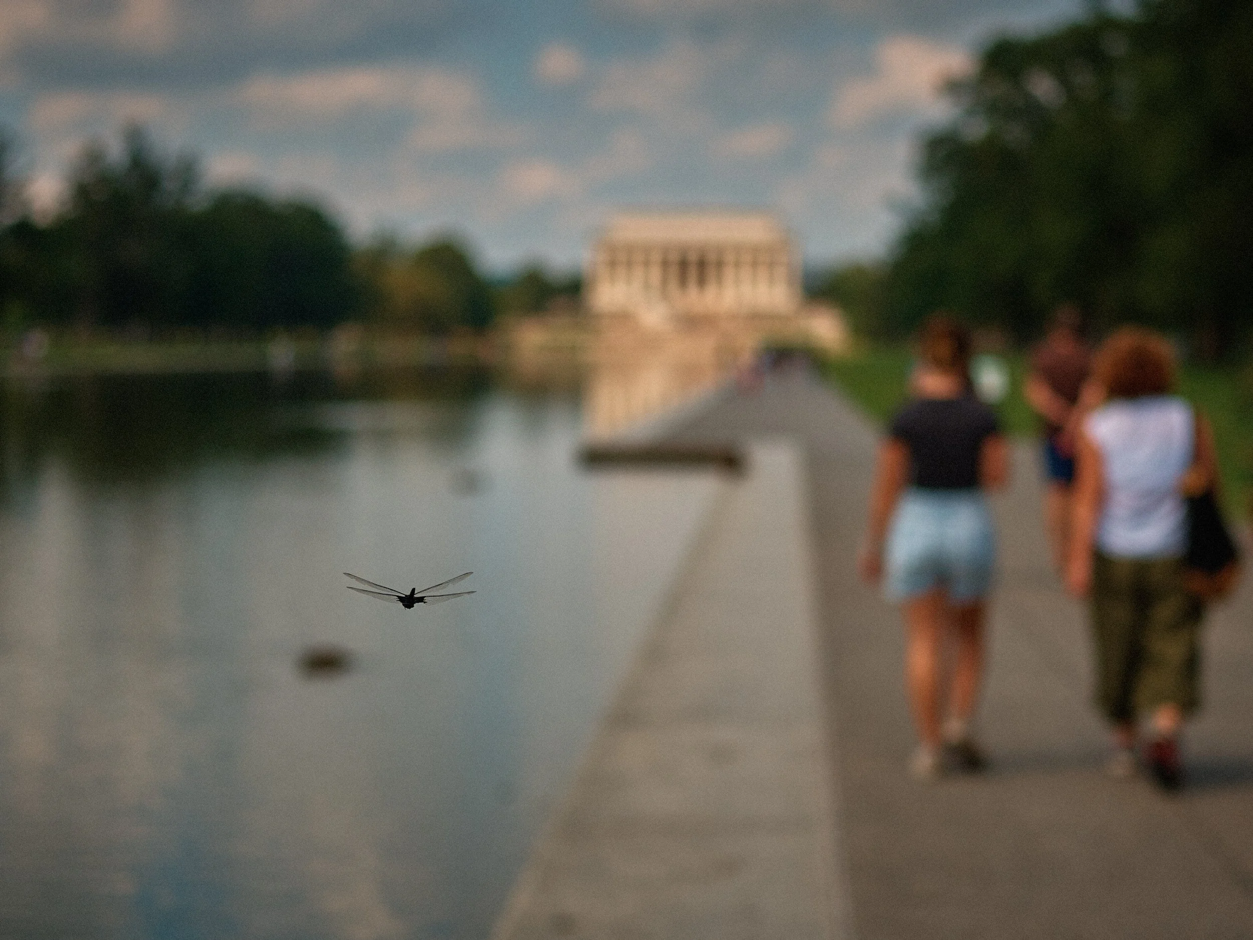 _DSC6794 USA 25 v3.jpg