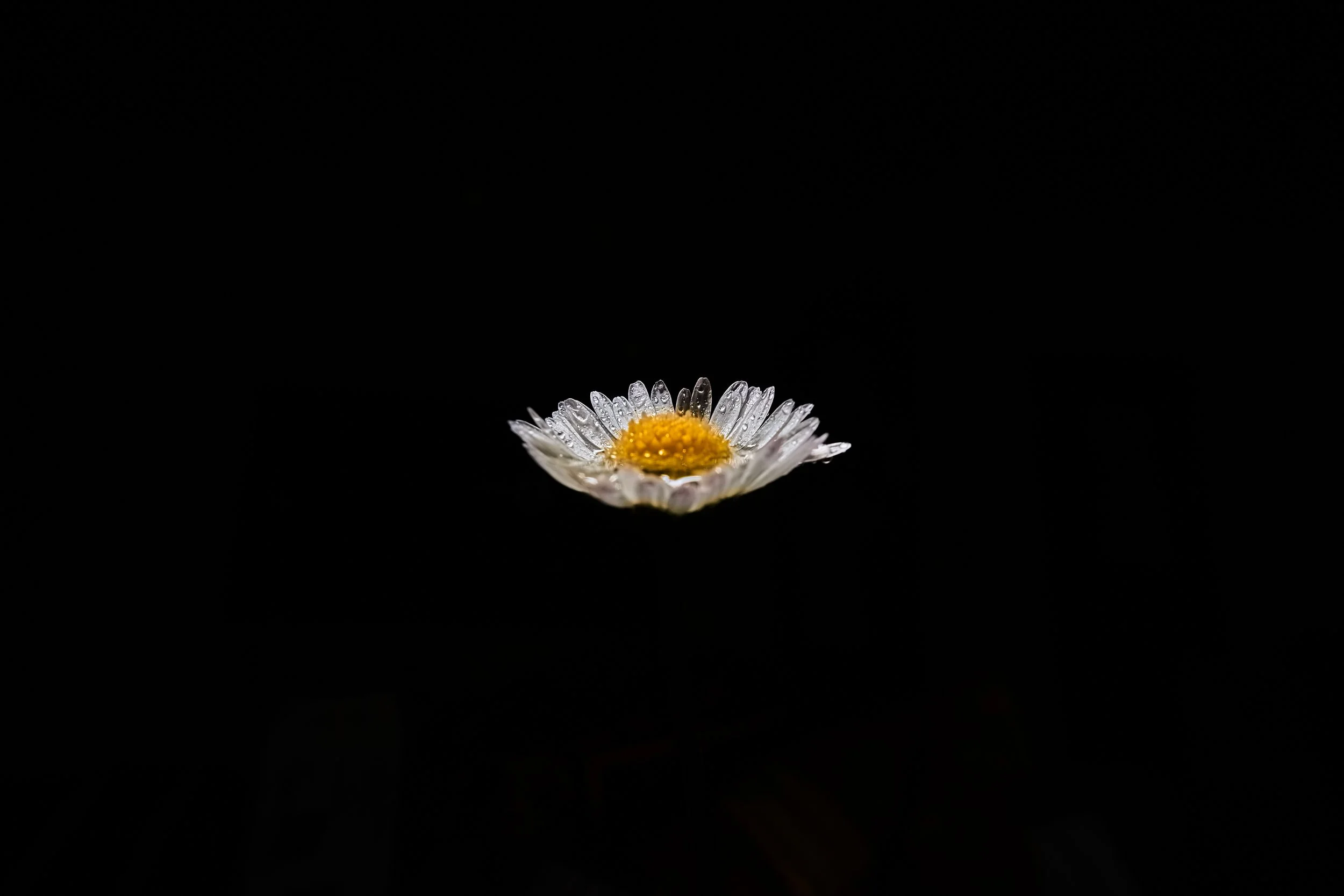 _DSC0007 Art 26 v1.jpg