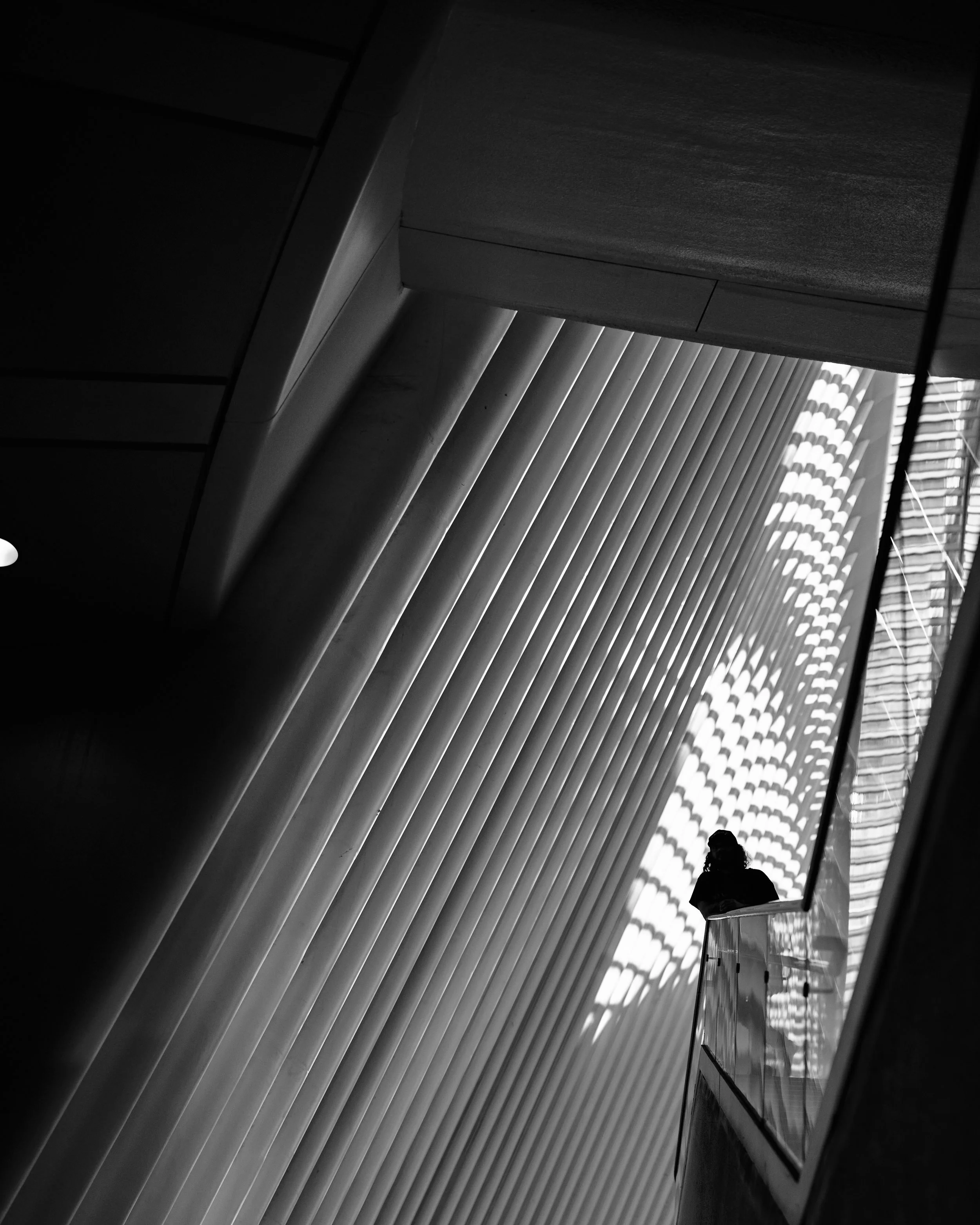 _DSC1219 New York 25 v1 Phil.jpg