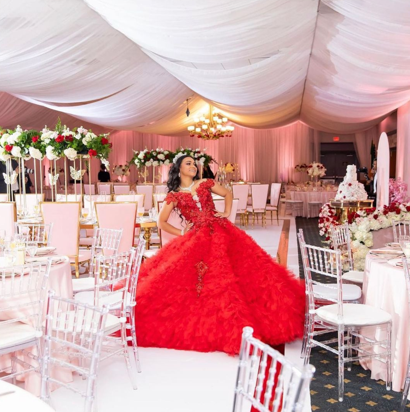 Full Coverage Ceiling Drape, White Sheer