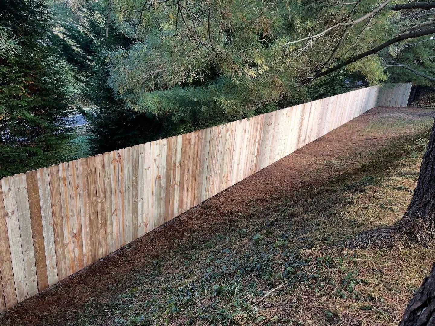 A newly installed wooden privacy fence running along the edge of a yard adjacent to dense green trees and shrubbery.