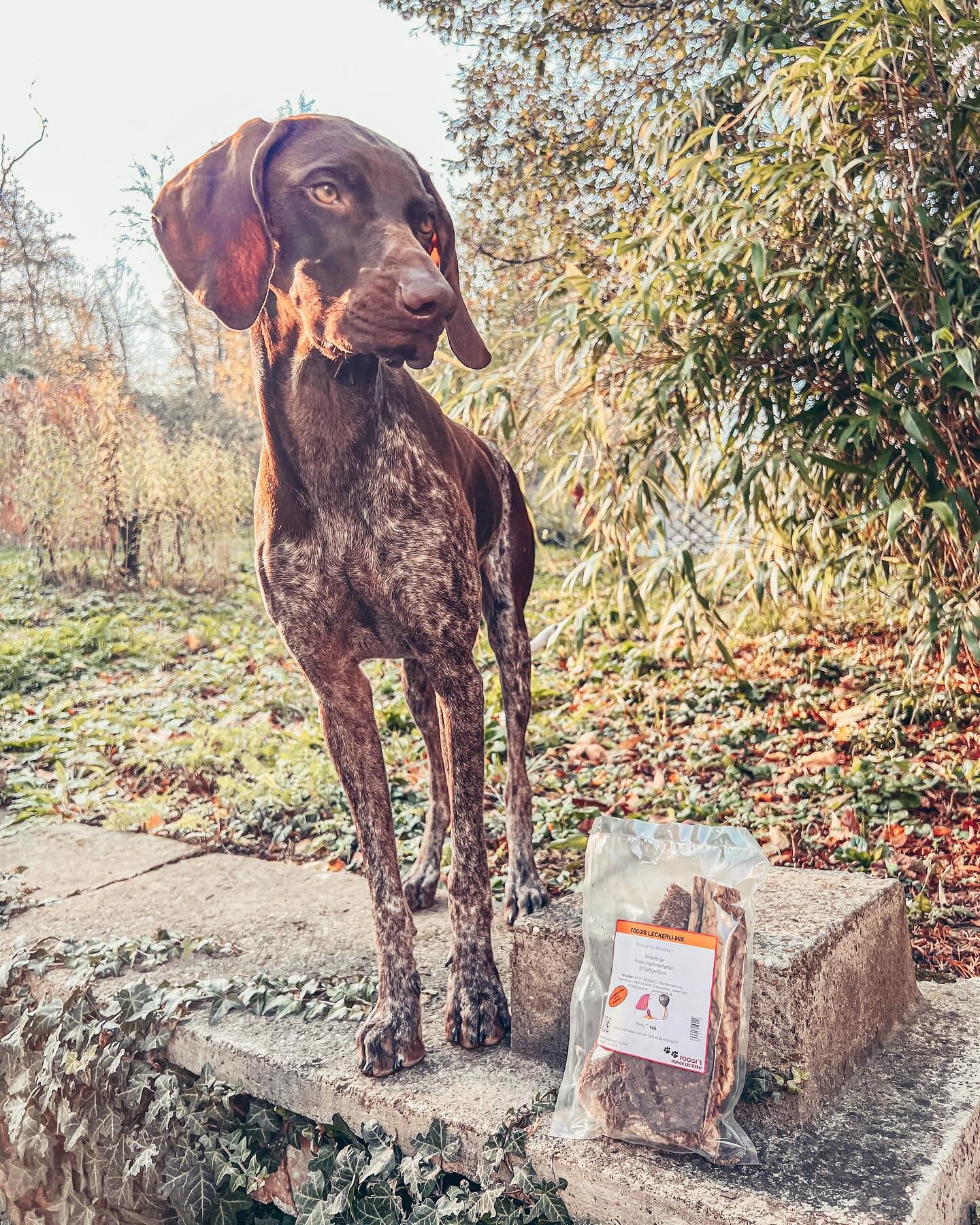 🇦🇹 &Ouml;M Sponsor 🇦🇹

Einen Mix aus leckeren Kostprobe aus dem Sortiment von foggi&rsquo;s findet jeder Teilnehmer im Startersackerl. Regionale Produkte in spitzen Qualit&auml;t.

foggi&rsquo;s produziert alle Produkte selbst, egal ob Trockenlec
