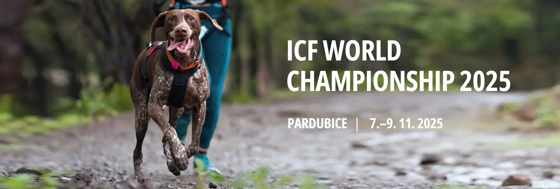 ICF WM 2025