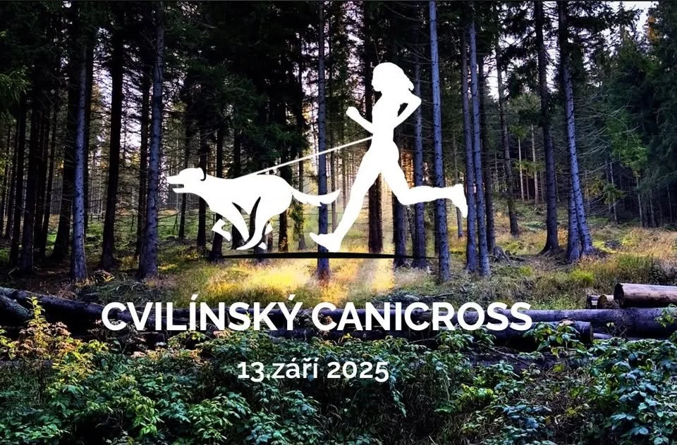 Cvilinsky Canicross 13.09.2025