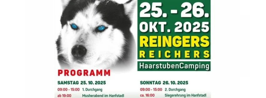 Schlittenhunderennen Reingers