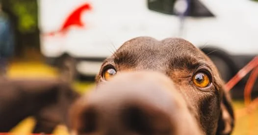 LIBOVá JiZDA 2026 Spring Edition