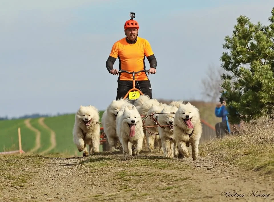 Frühjahrs-Sprint Stříbrský