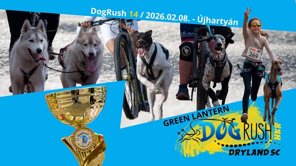 DogRush 14 Green Lantern 