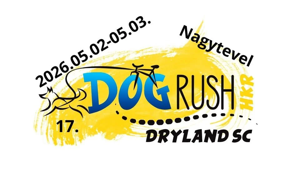 DogRush 17 Around the lake at night