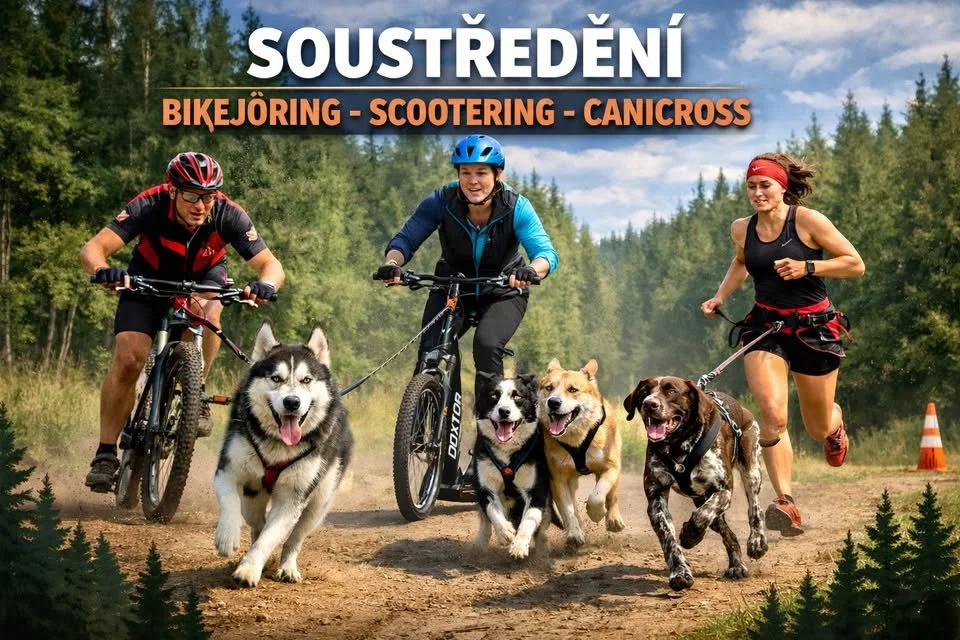 TRAININGSLAGER Bikejöring - Scooter - Canicross
