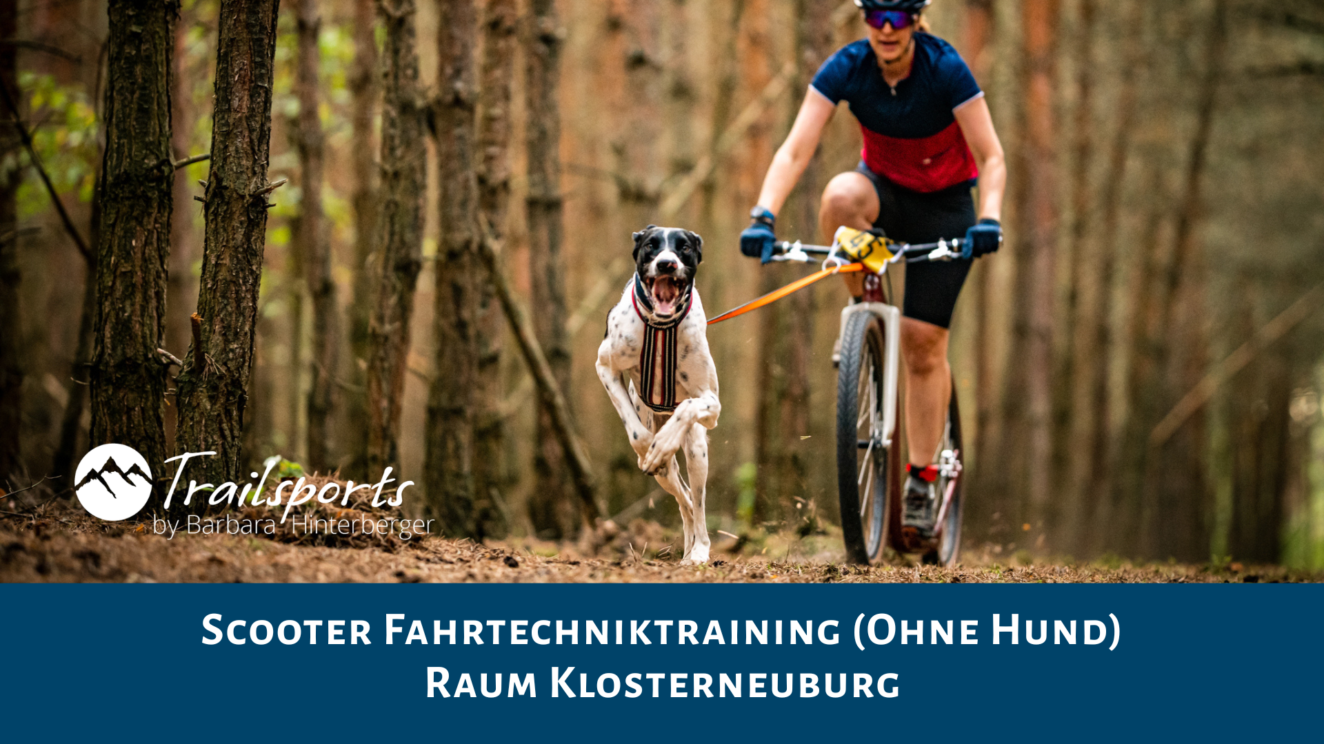 Scooter Fahrtechniktraining (ohne Hund) Raum Klosterneuburg