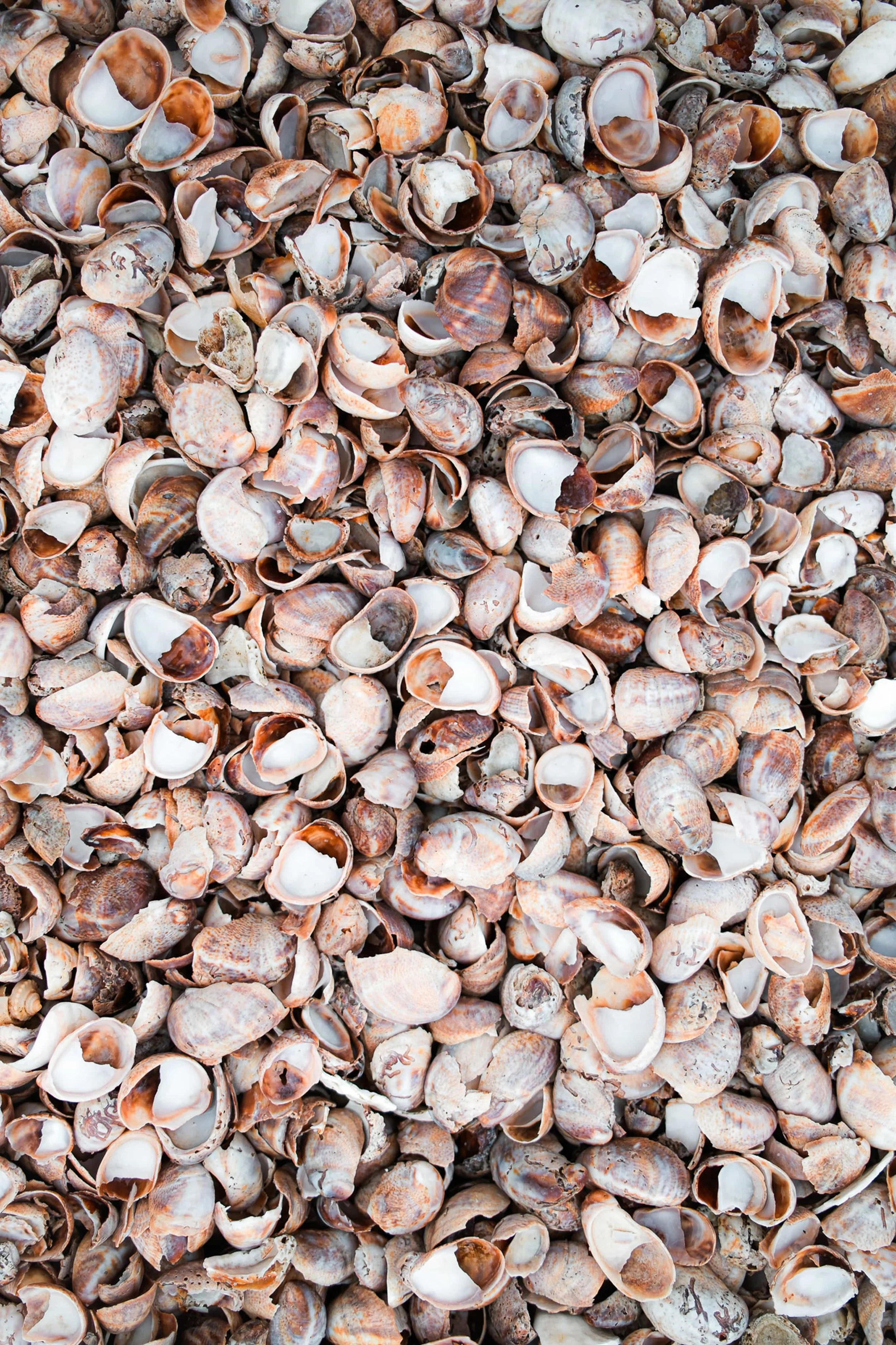 _DSF4783-2 2 (1).jpg