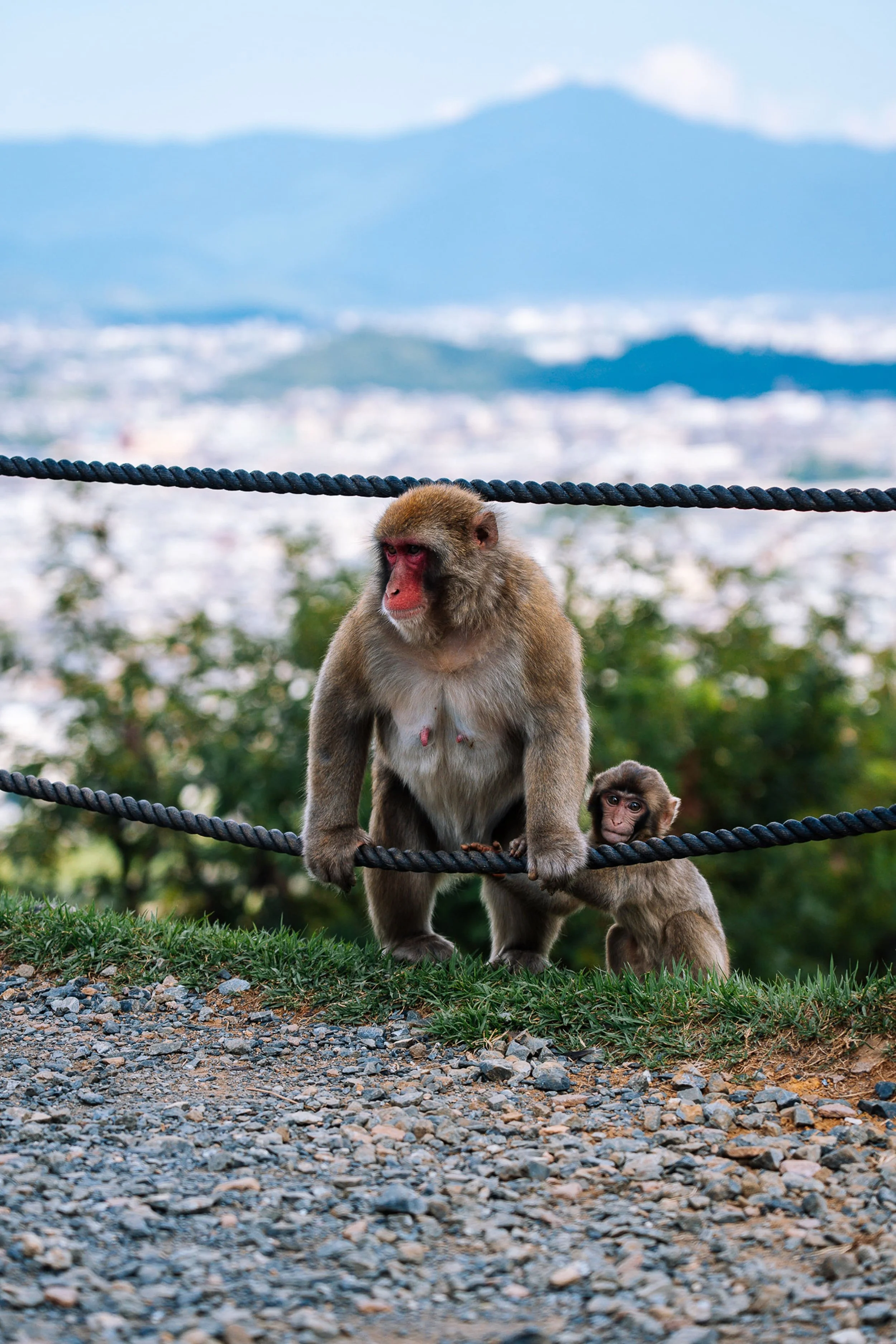 A7401676-new (1).jpg