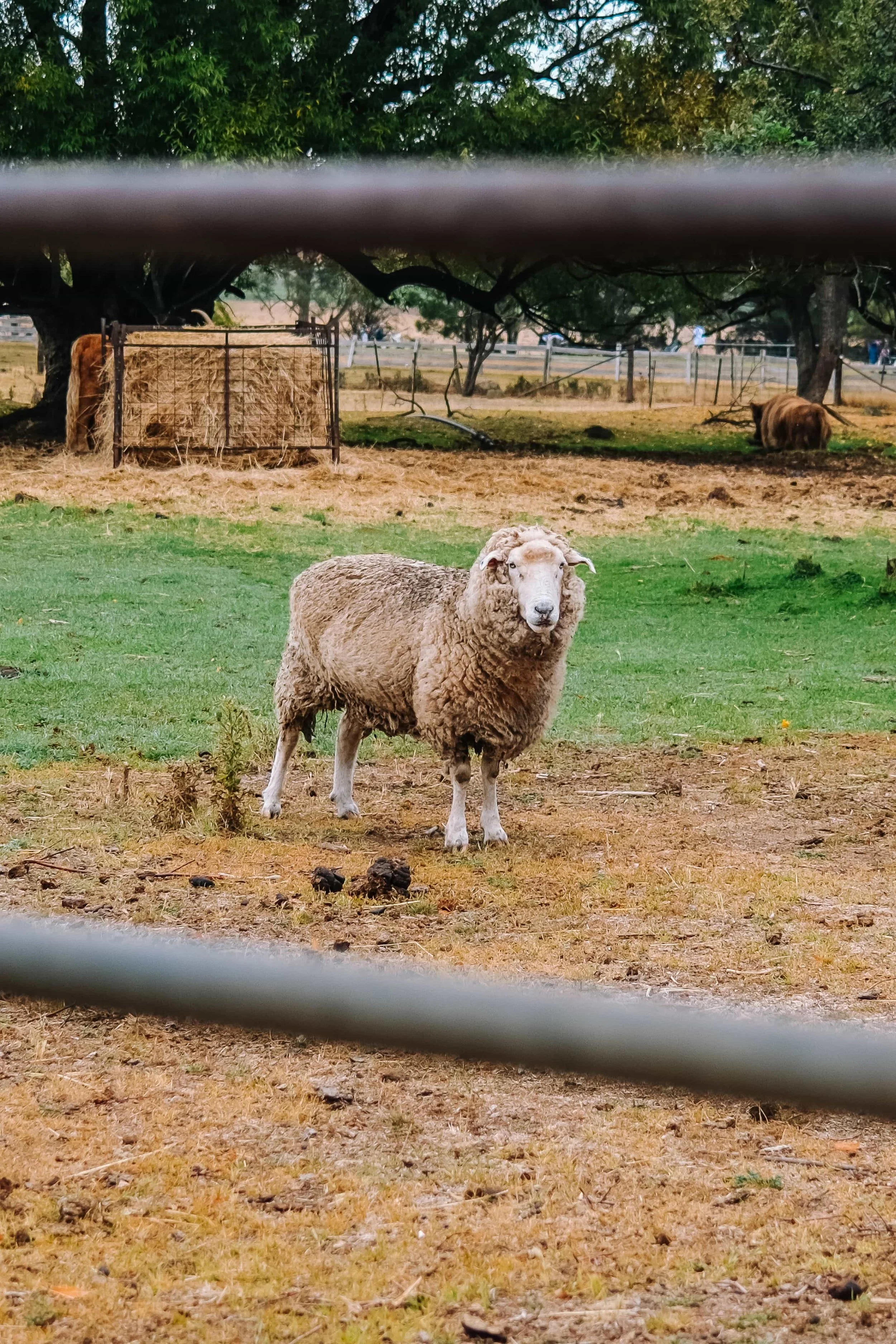 _DSF6948-new (1).jpg