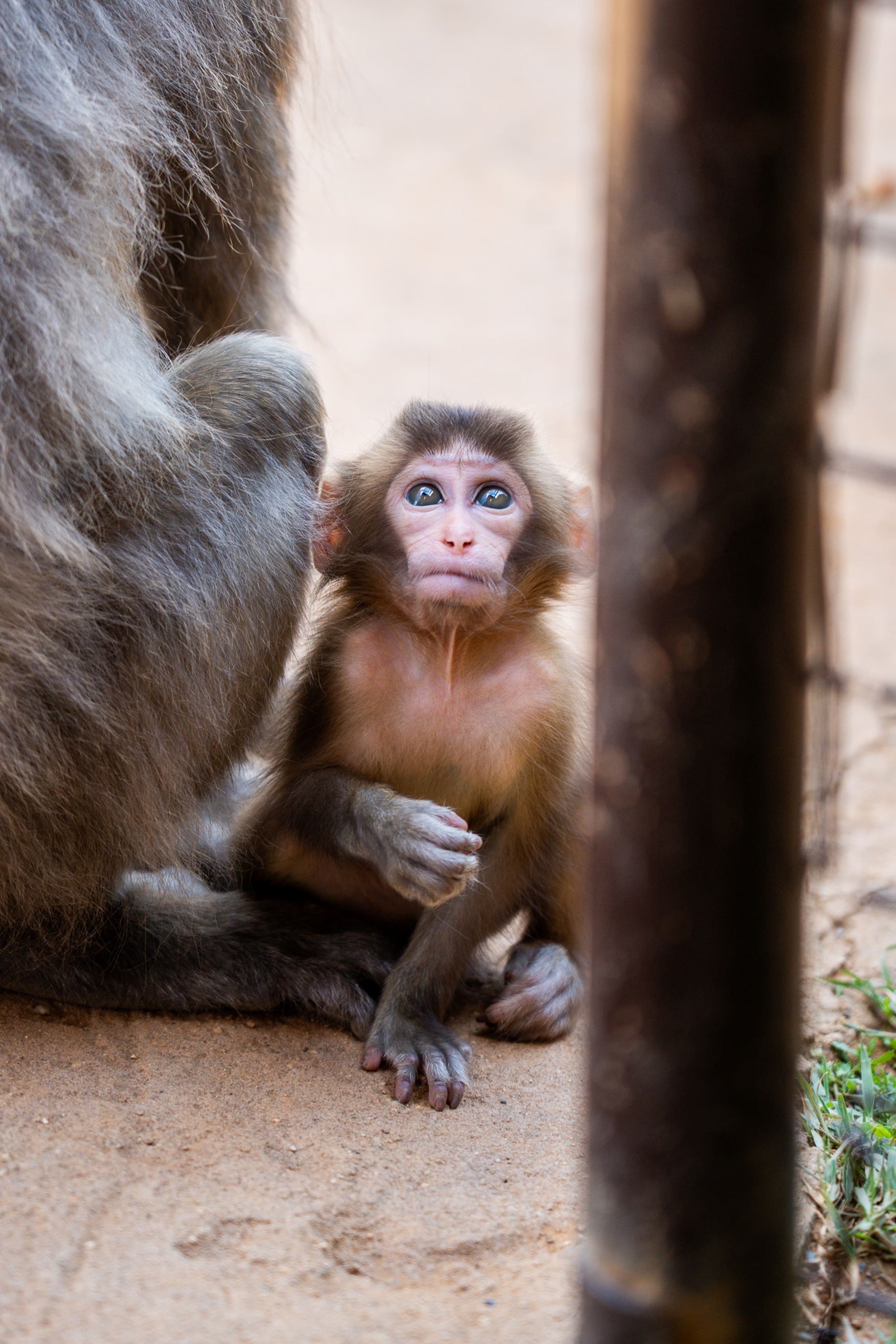 A7401617-new (1).jpg