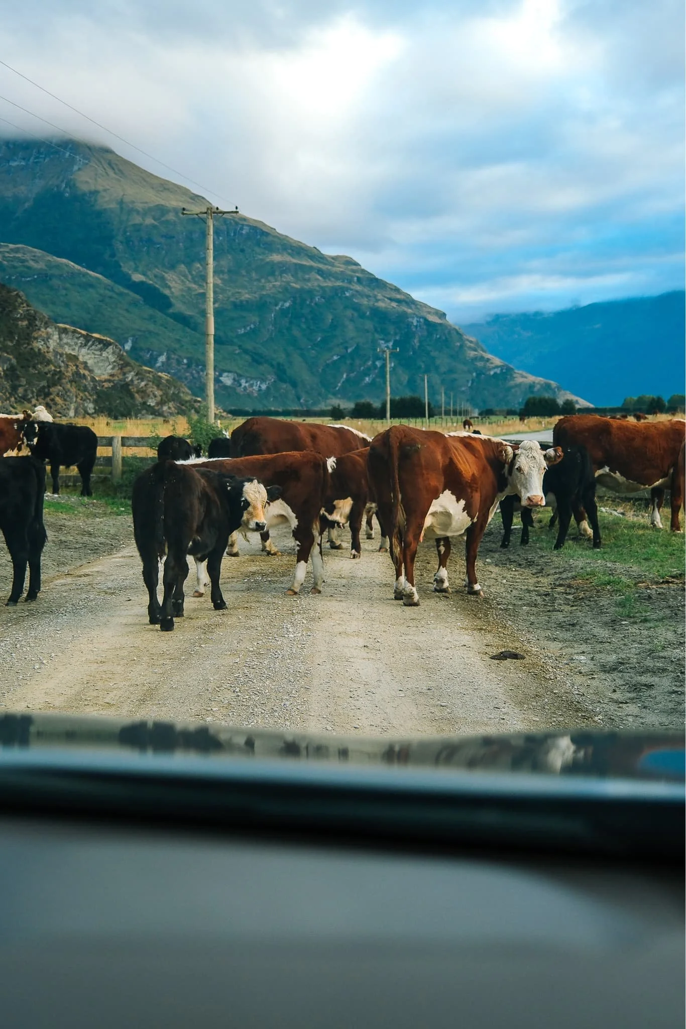 _DSF1314-2 1 (1).jpg