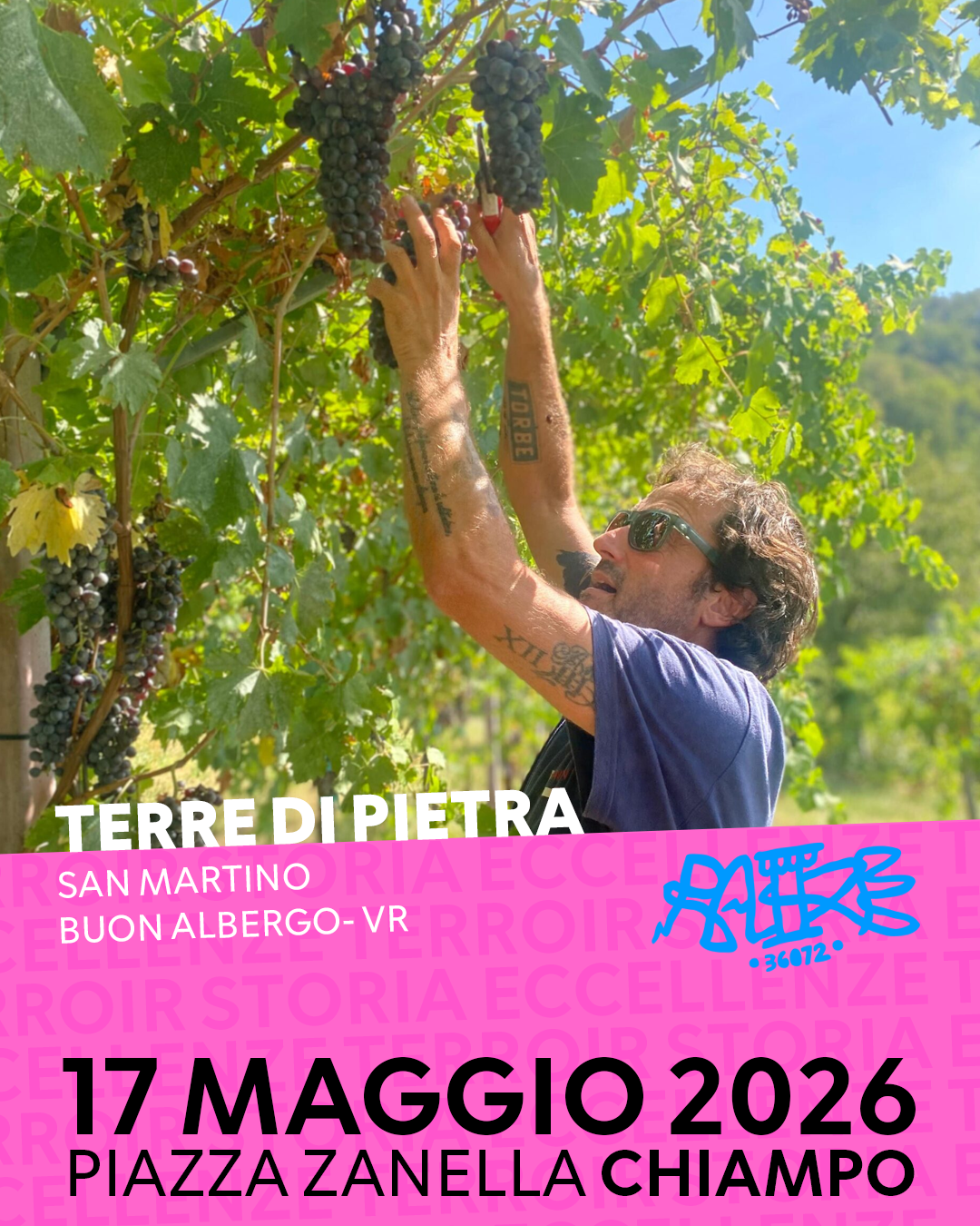 TERRE DI PIETRA.png