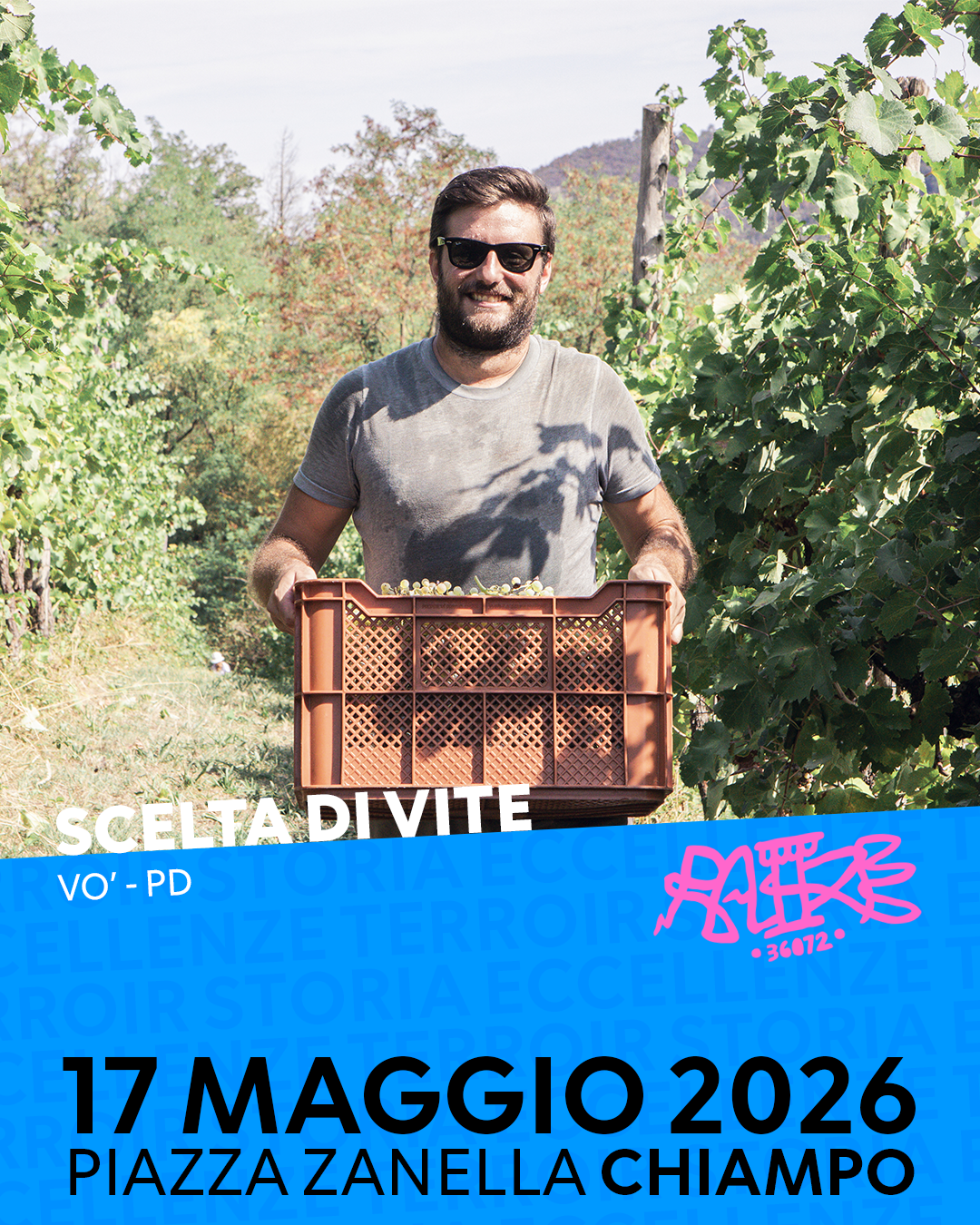 SCELTA DI VITE.png