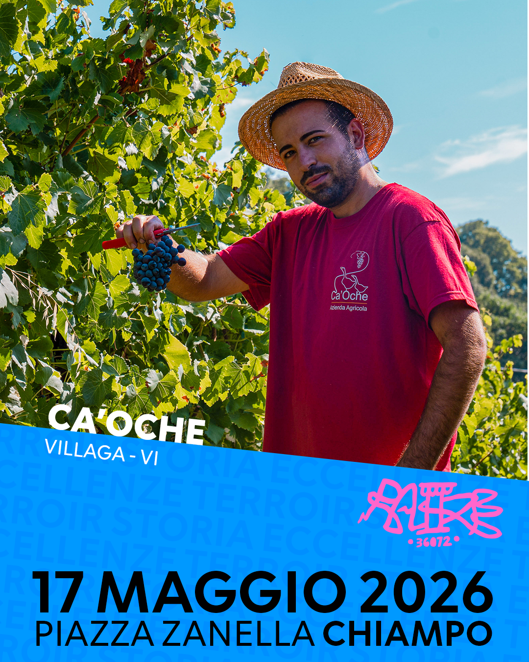 CAOCHE.png
