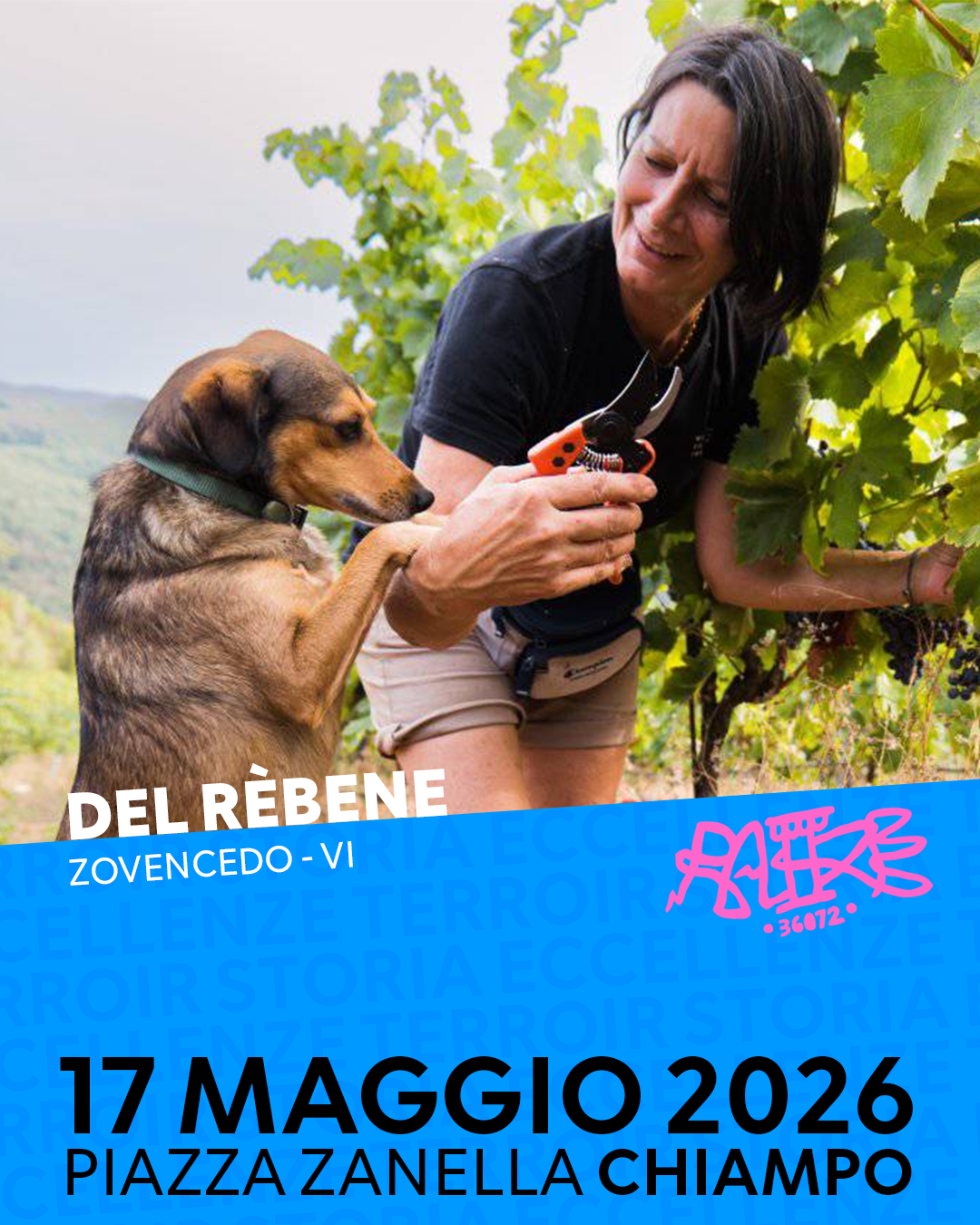 DEL REBENE.png