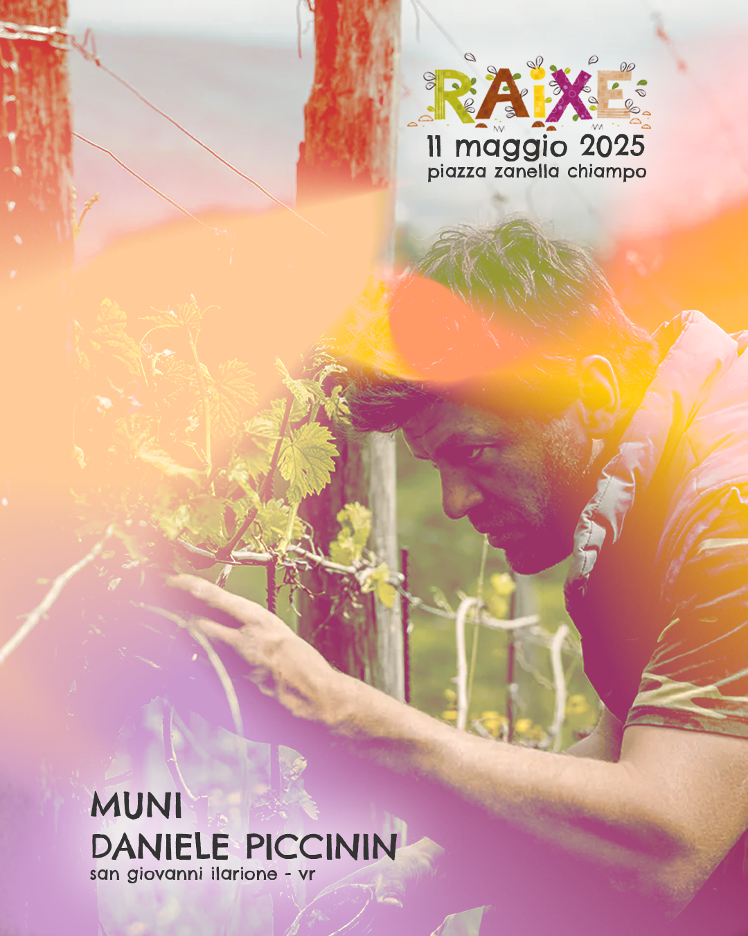 muni-daniele-piccinin.png