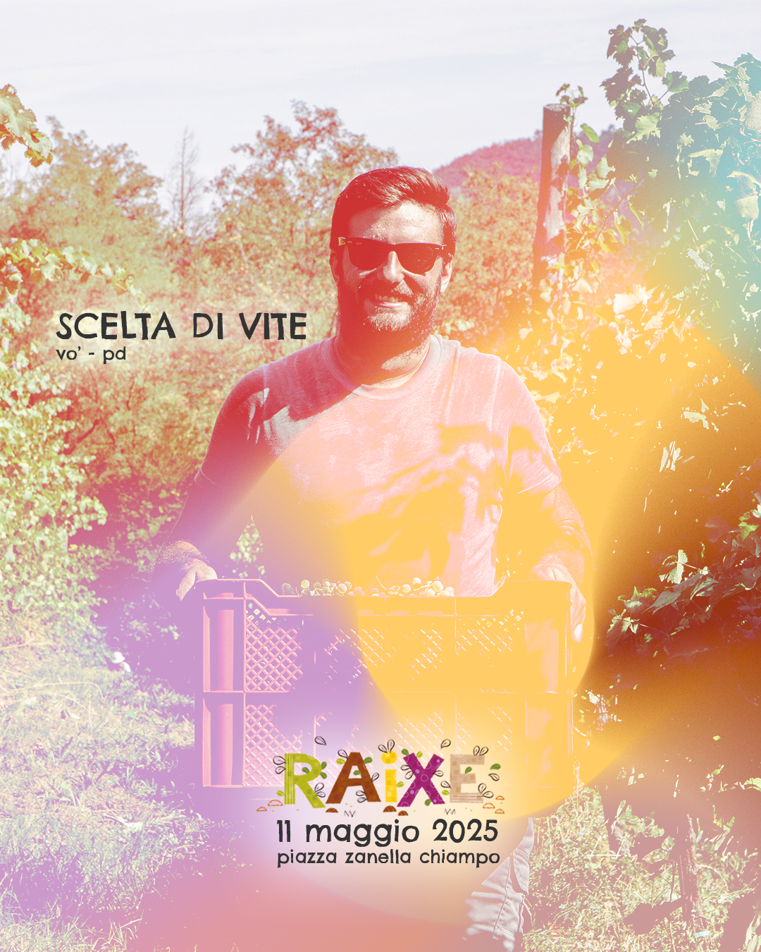 scelta-di-vite.png