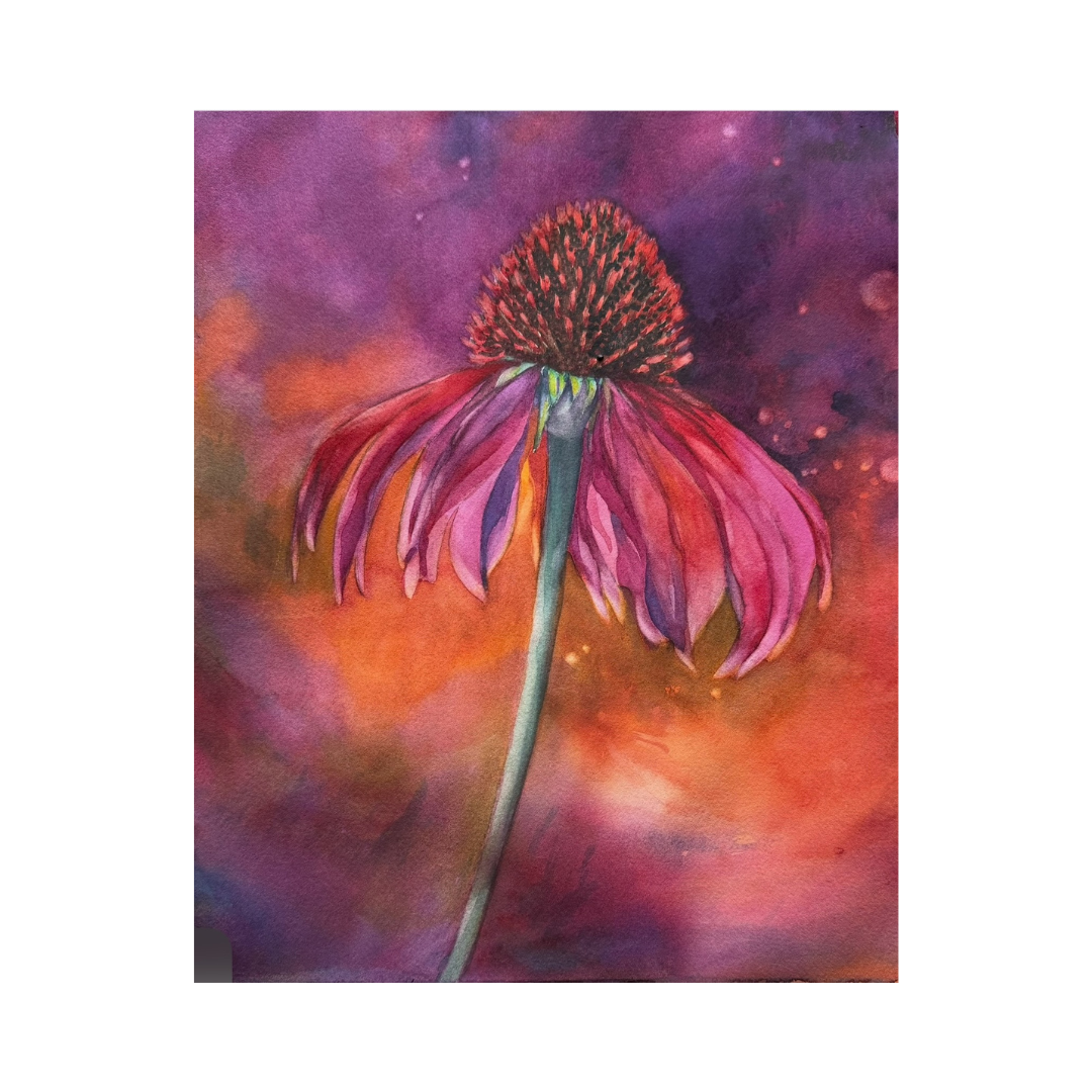 Coneflower Glow.png