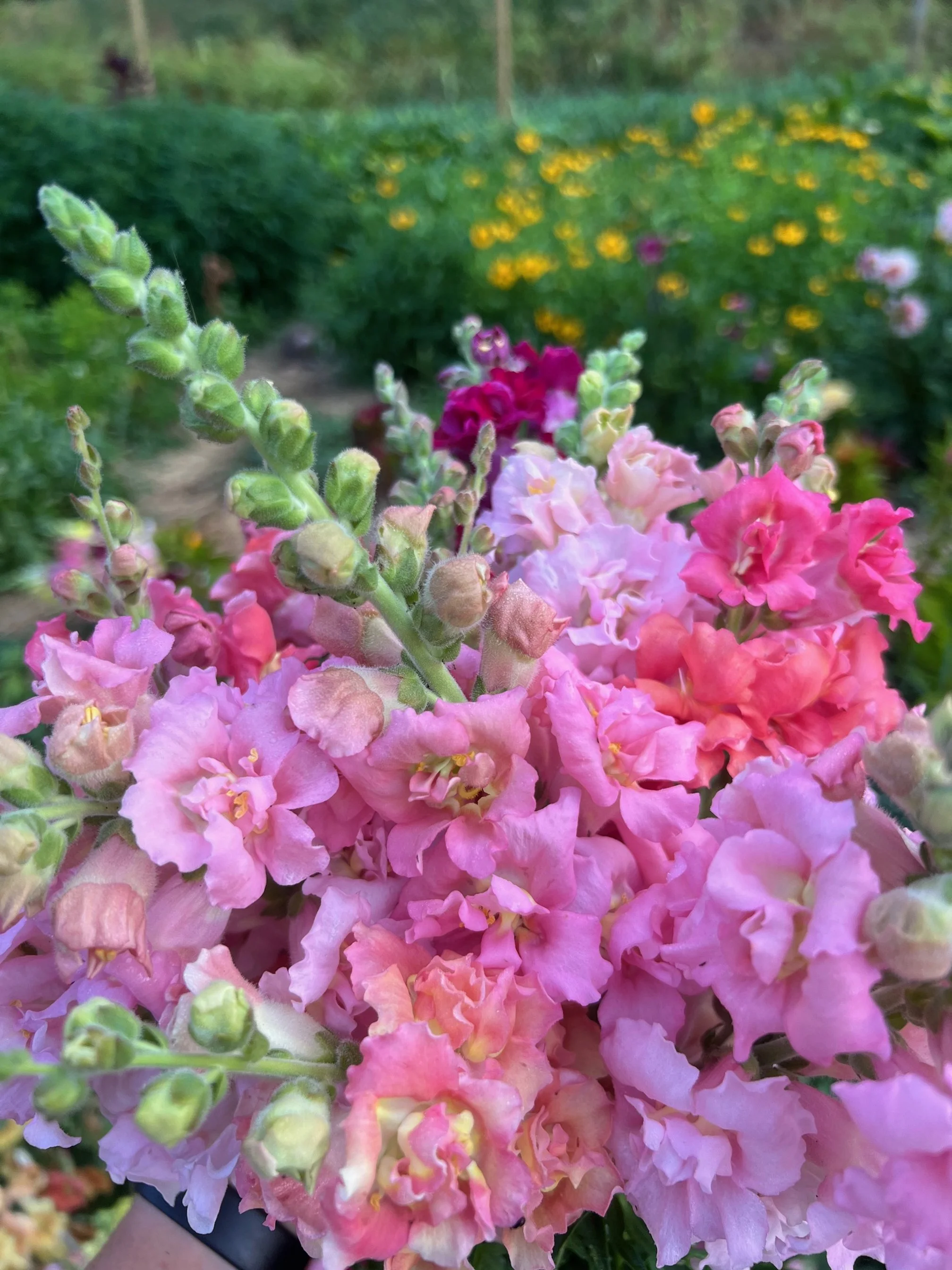 Bouquet Workshops