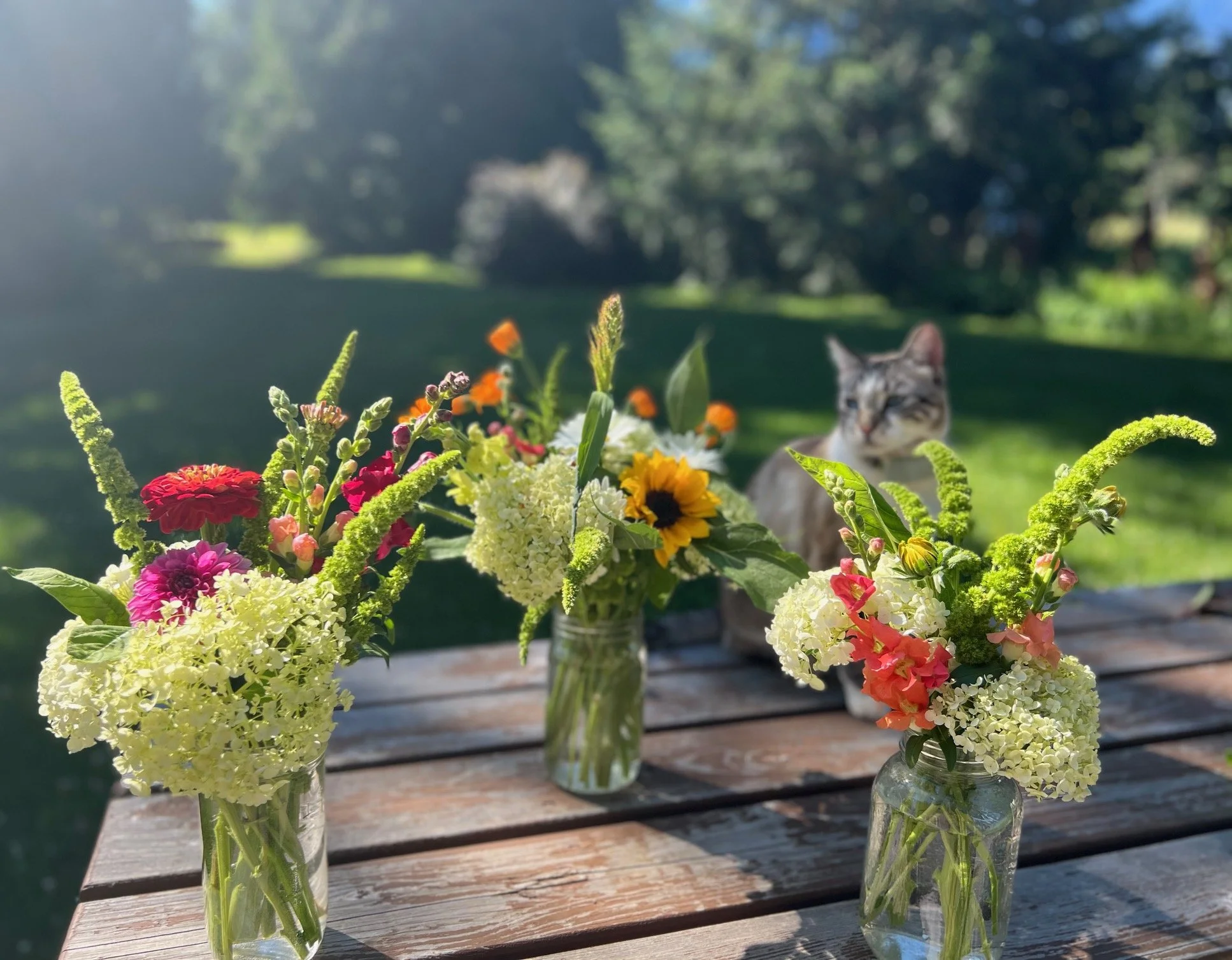 Vases of colorful fresh flowers on a wooden table outdoors with a blurred background, and a cat in the distance.