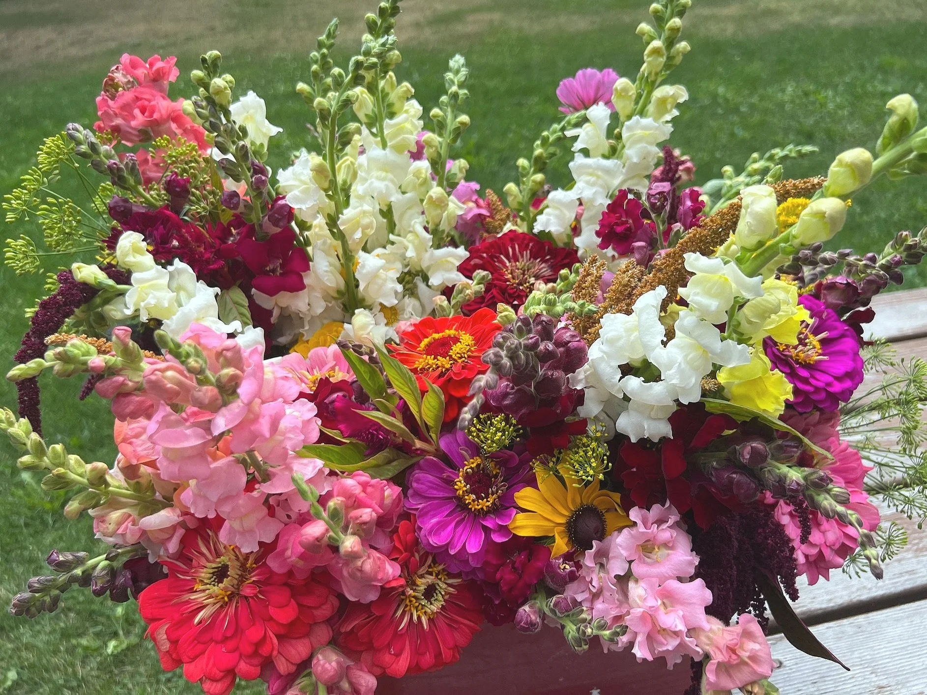 A large, colorful bouquet of various flowers including snapdragons, zinnias, daisies, and other blossoms, arranged outdoors with a grassy background and a wooden surface.