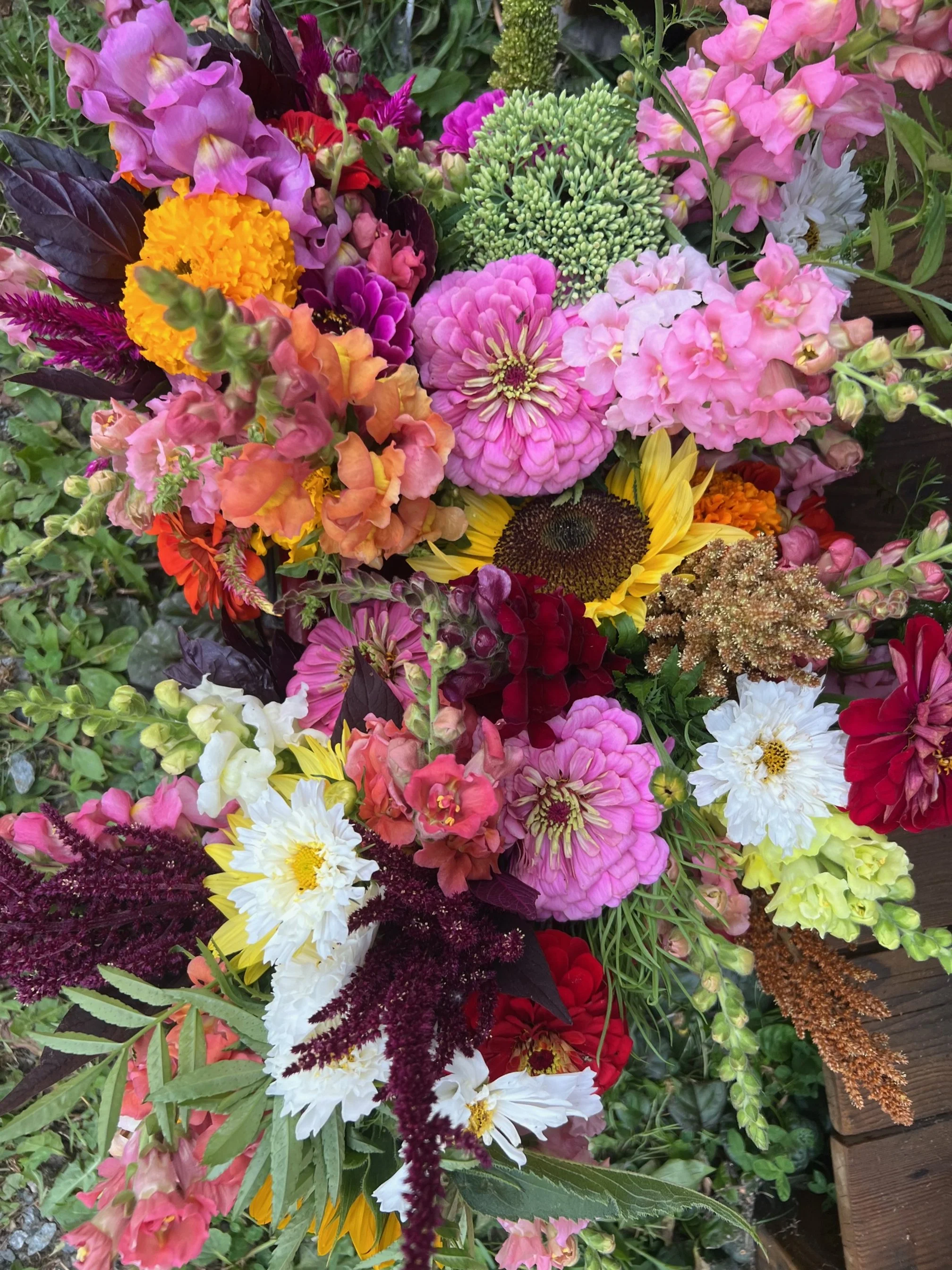 A colorful bouquet of various flowers including pink, purple, yellow, white, red, and orange blossoms, with different shapes and sizes, arranged outdoors on a wooden surface.