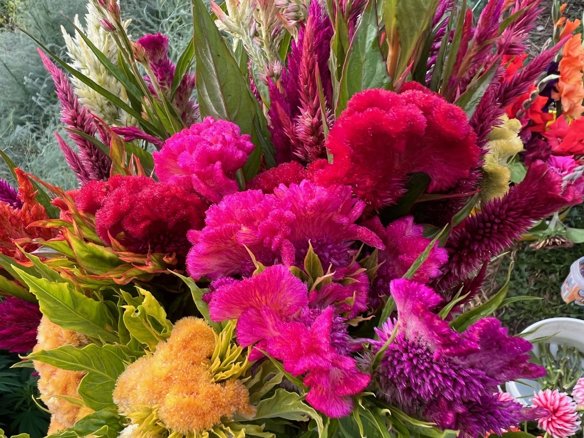 A vibrant bouquet of multicolored flowers, primarily pink, red, purple, and yellow, with green leaves.