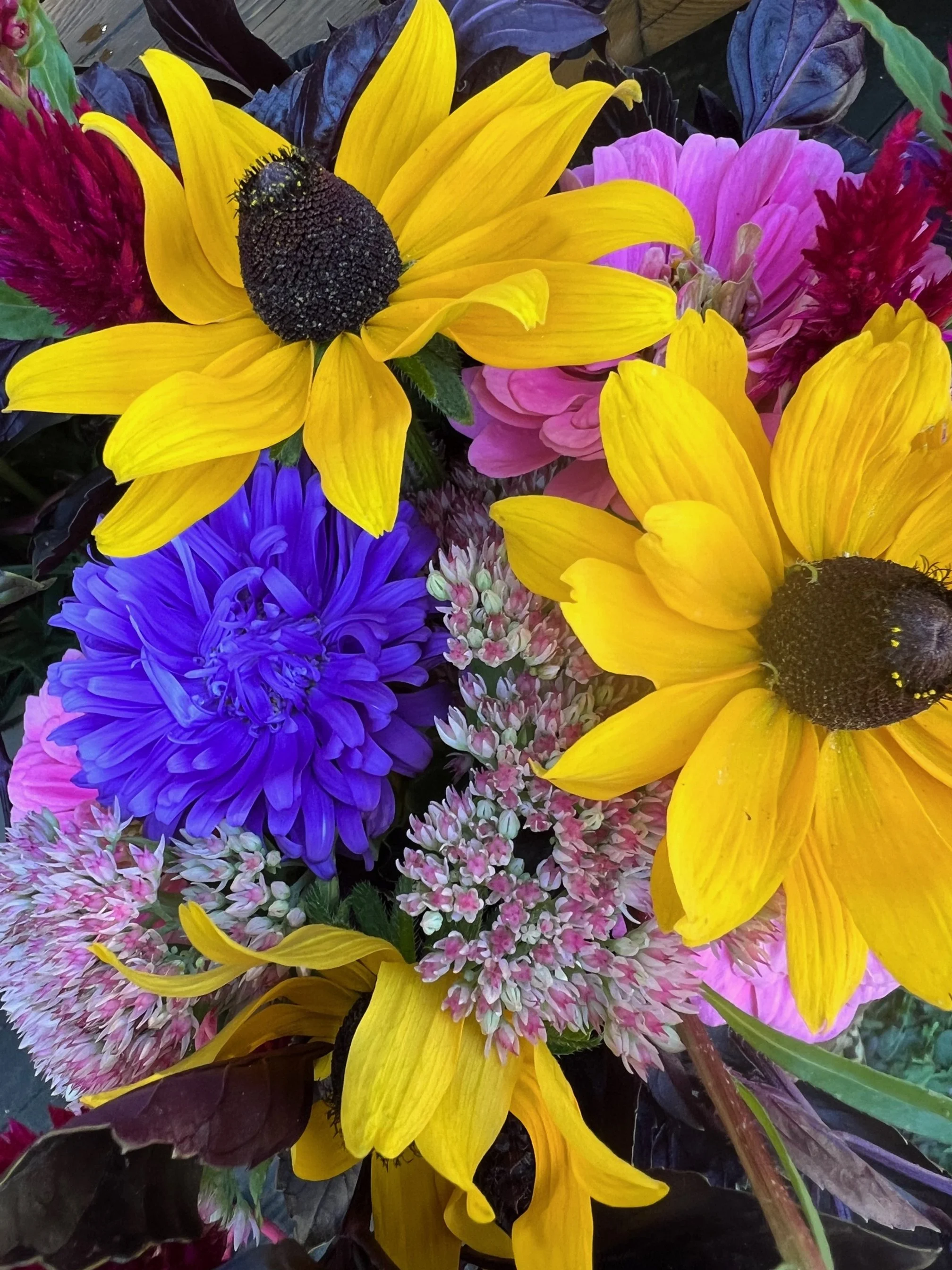 A bouquet of colorful flowers including large yellow sunflowers, a blue chrysanthemum, pink and white asters, and red and purple flowers, all set against dark green leaves.