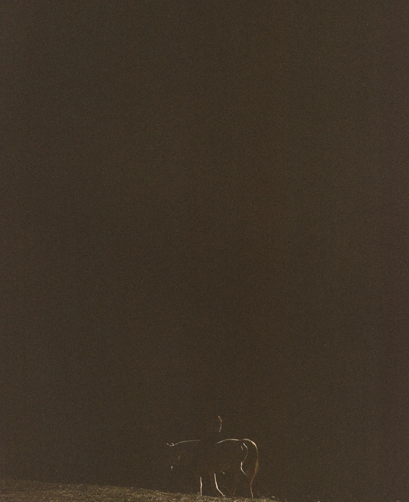 PersonalProject-Hannah-2023-008.jpg