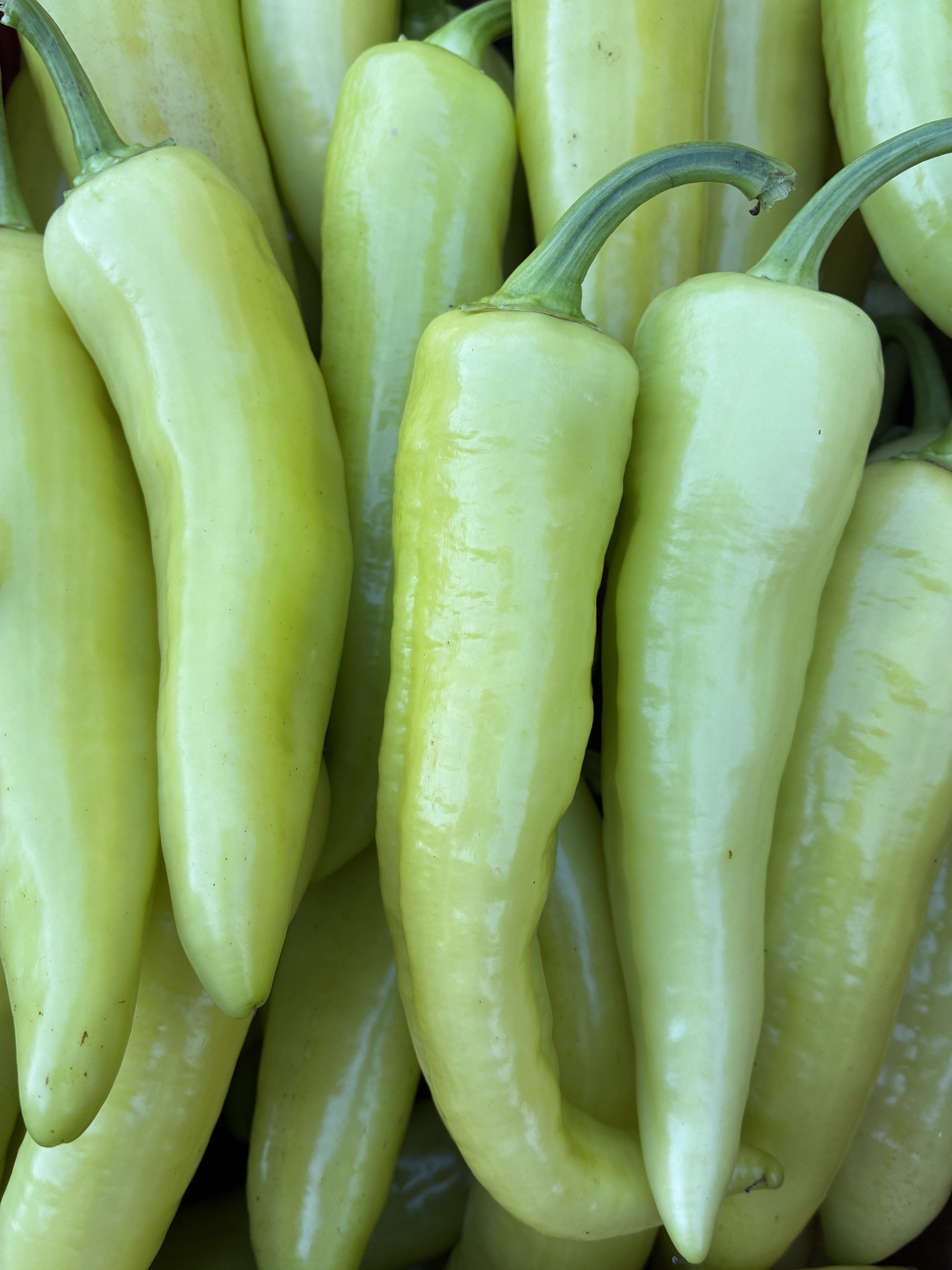 sweet banana peppers web.jpeg