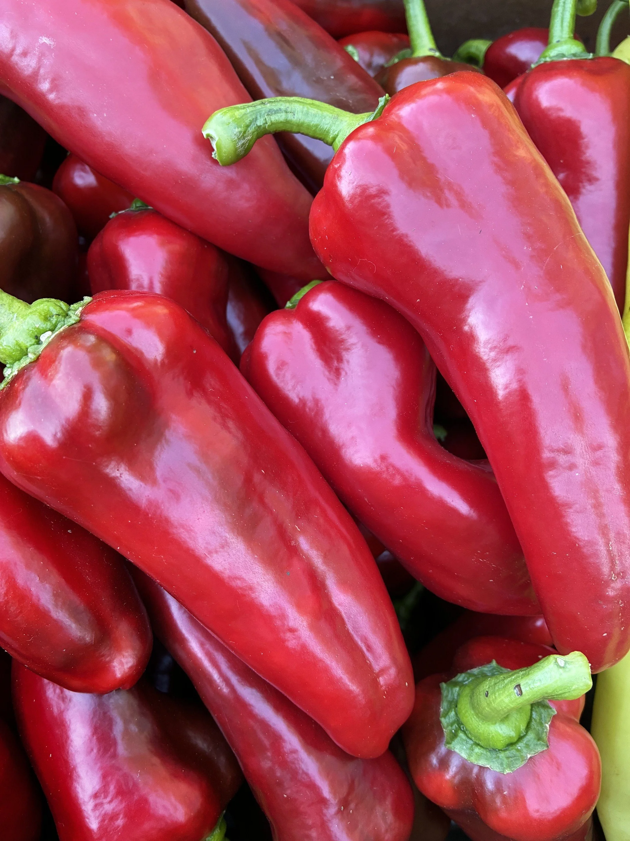 Marconi peppers .jpeg