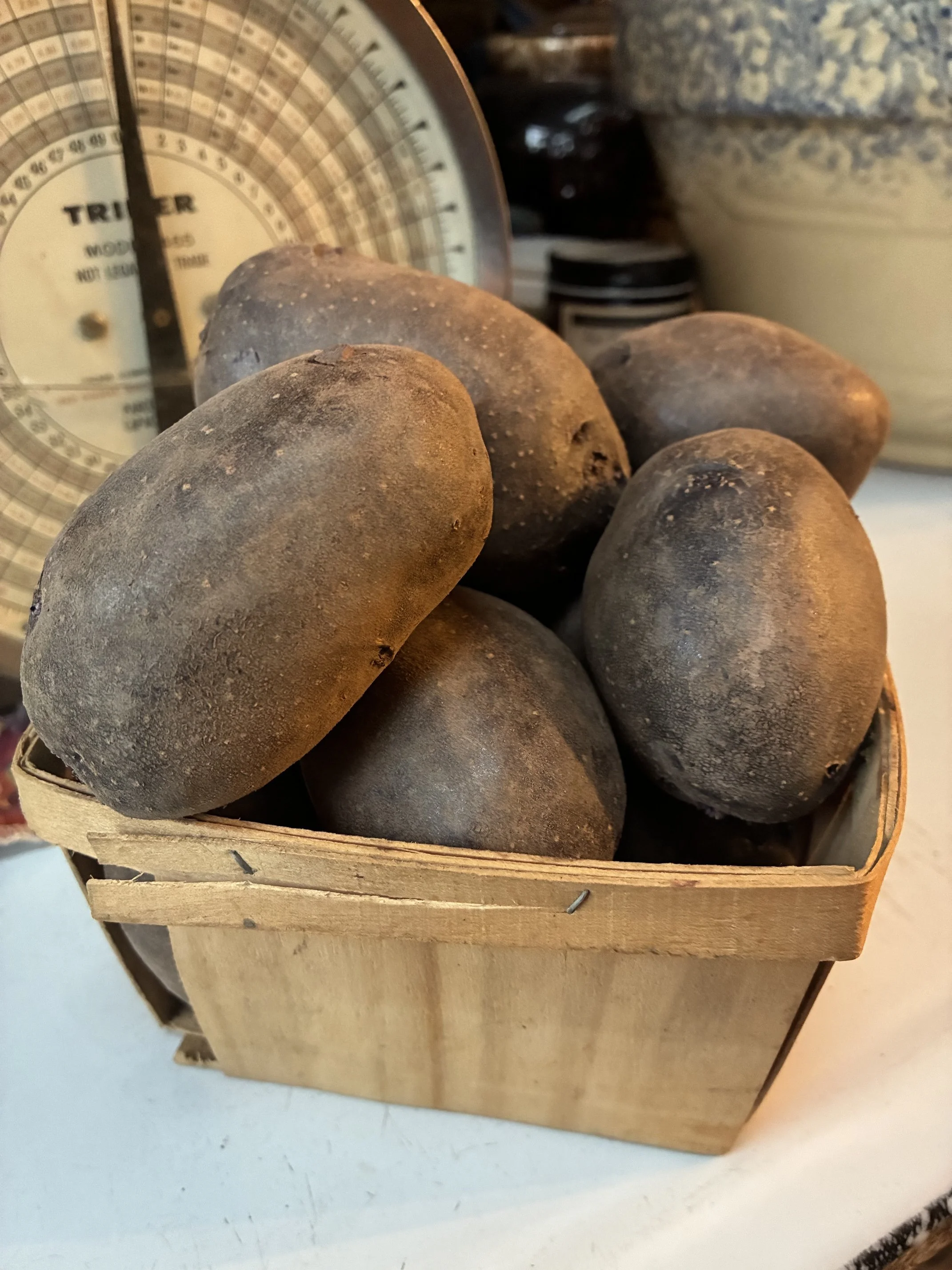 Purple Majesty Potatoes